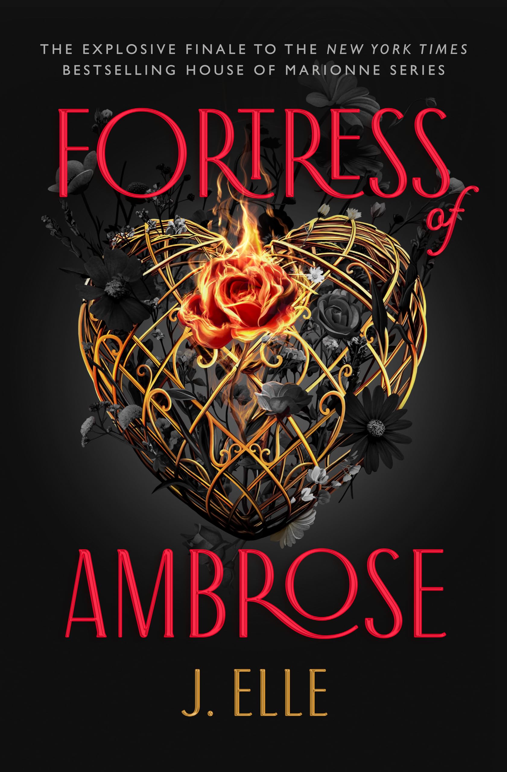 Fortress of Ambrose (House of Marionne, 3) Fiction