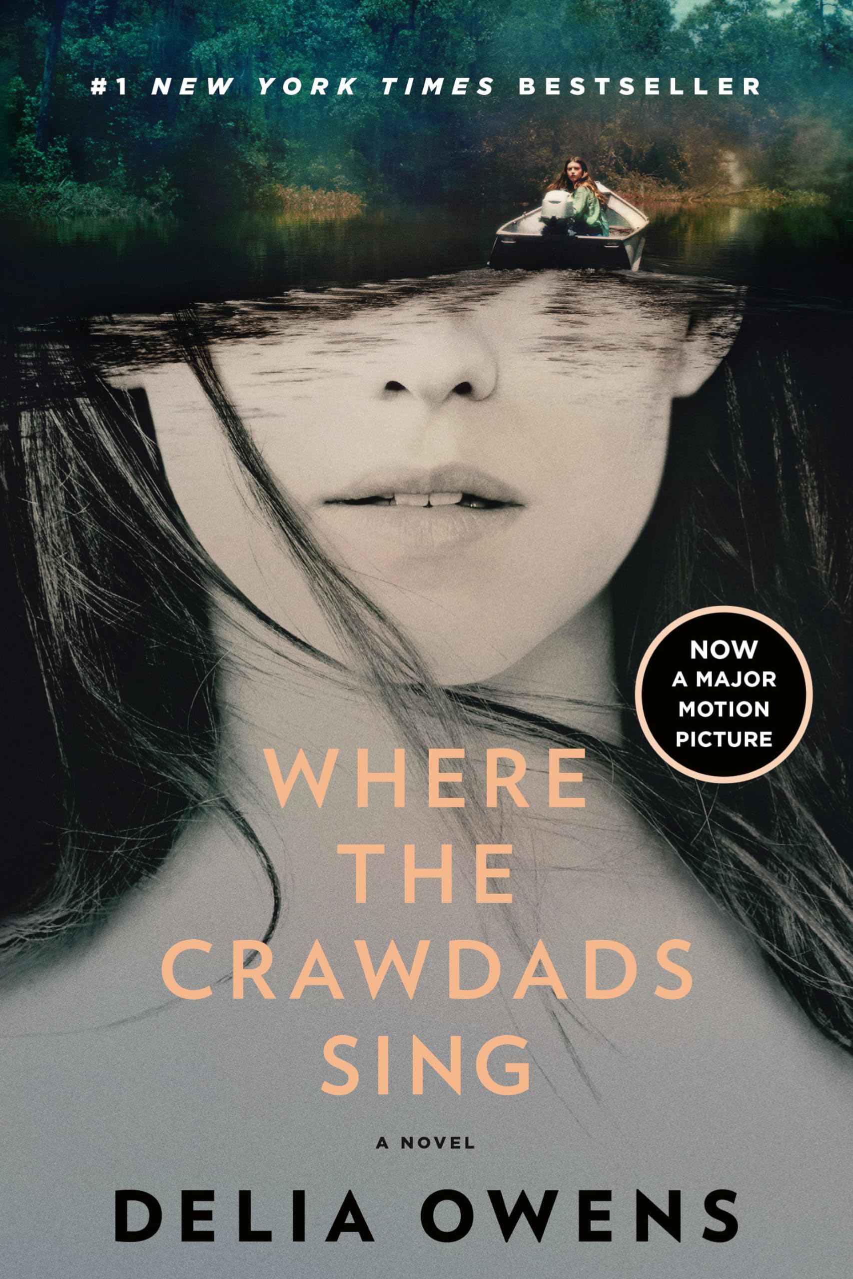Where the Crawdads Sing Contemporary literature Books