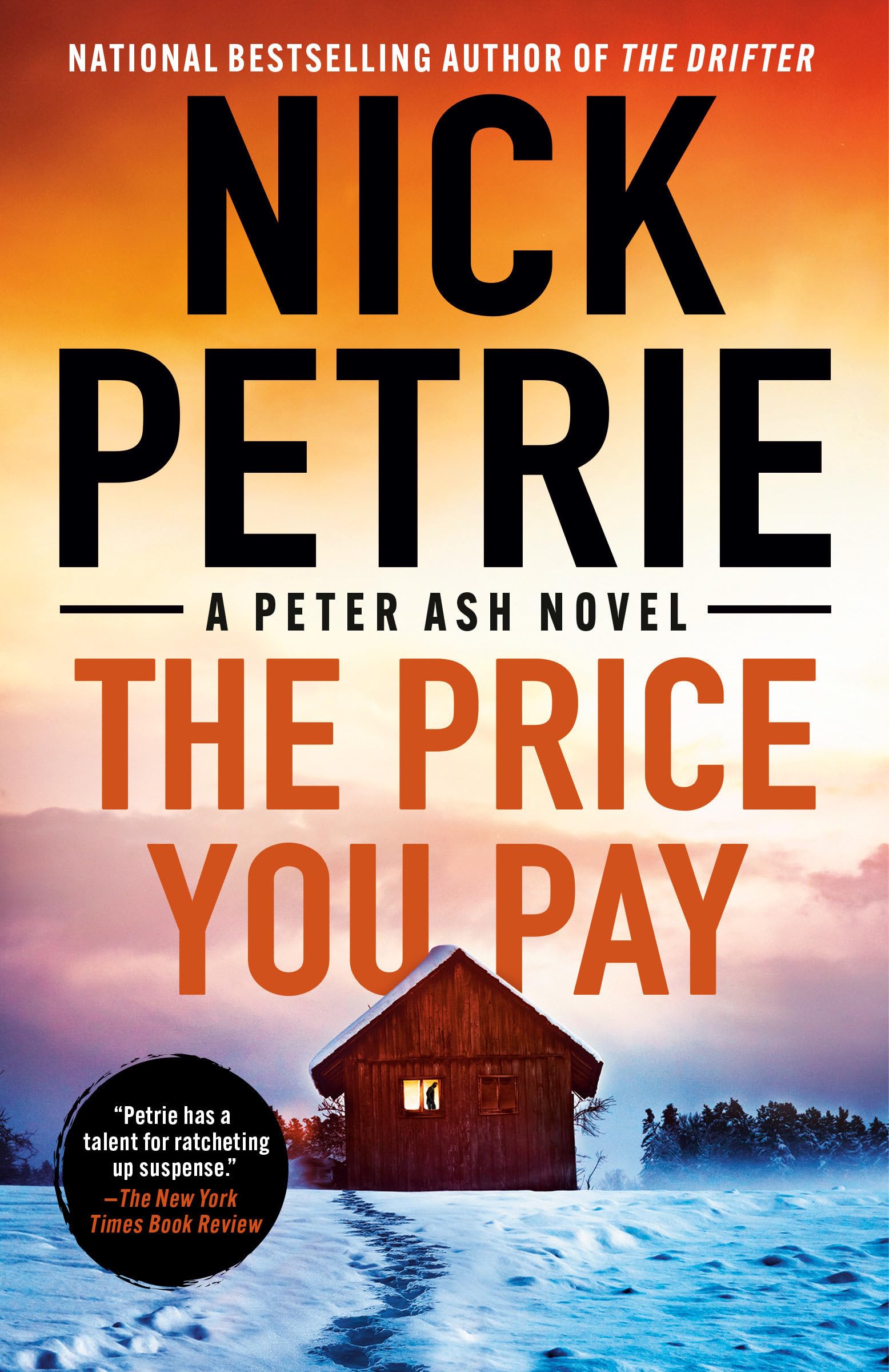 The Price You Pay (Peter Ash Novel, 8, Band 8) Action & Adventure