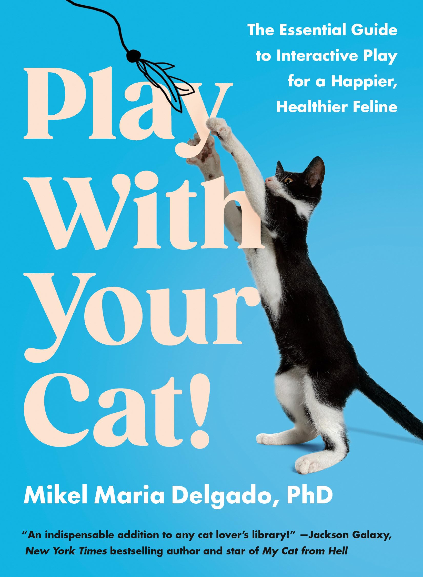 Play With Your Cat!: The Essential Guide to Interactive Play for a Happier, Healthier Feline Pets