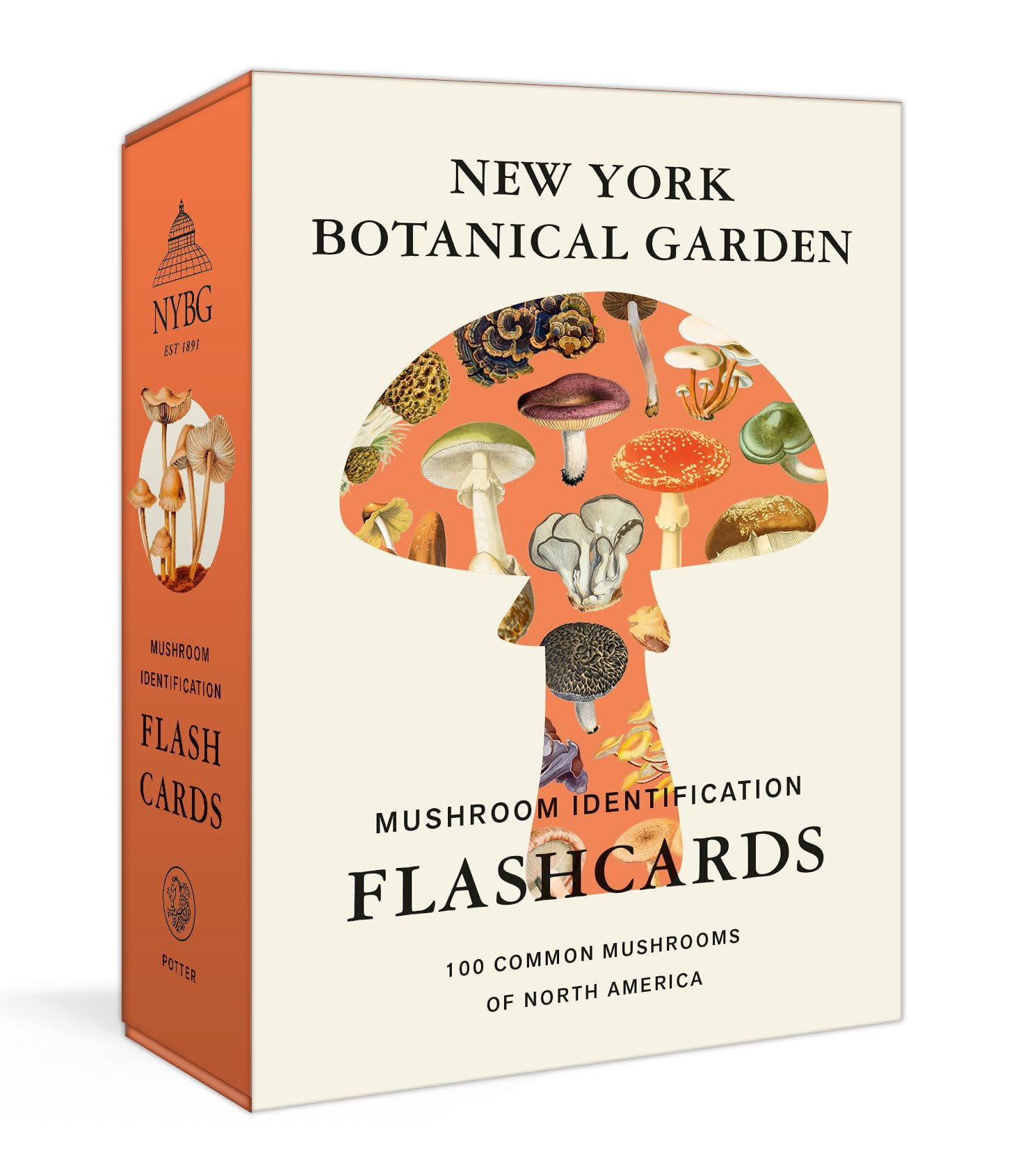 New York Botanical Garden Mushroom Identification Flashcards: 100 Common Mushrooms of North America Computer Science