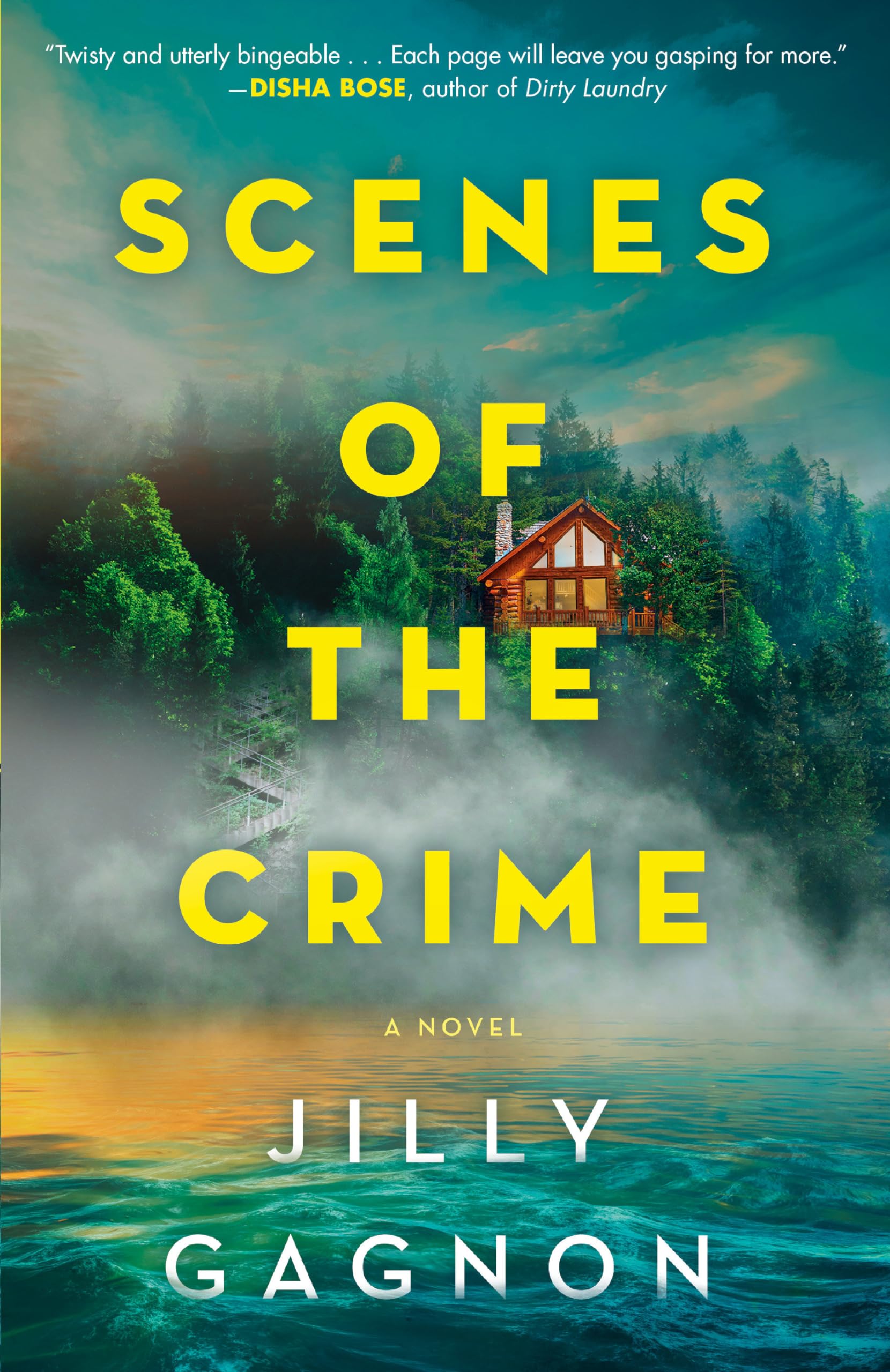 Scenes of the Crime: A Novel book