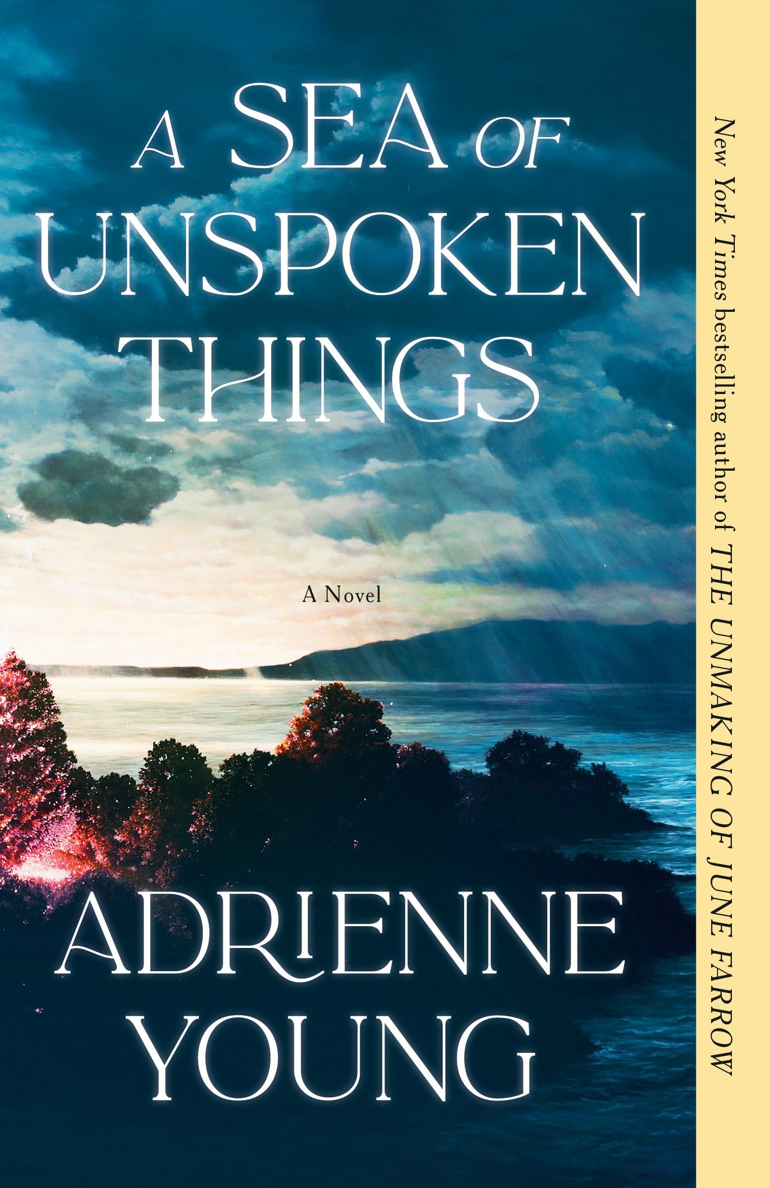 A Sea of Unspoken Things: A Novel Horror & Mystery