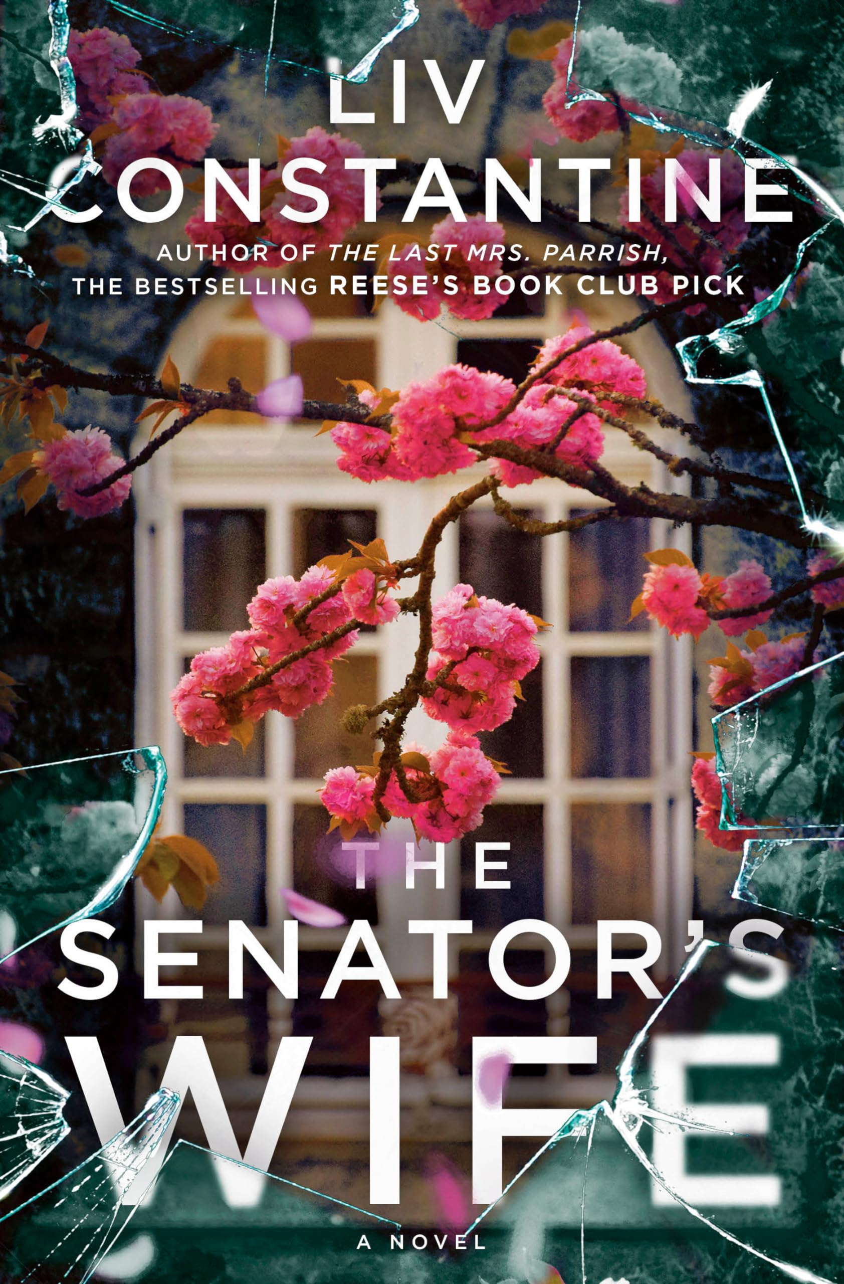 The Senator's Wife Contemporary literature Books