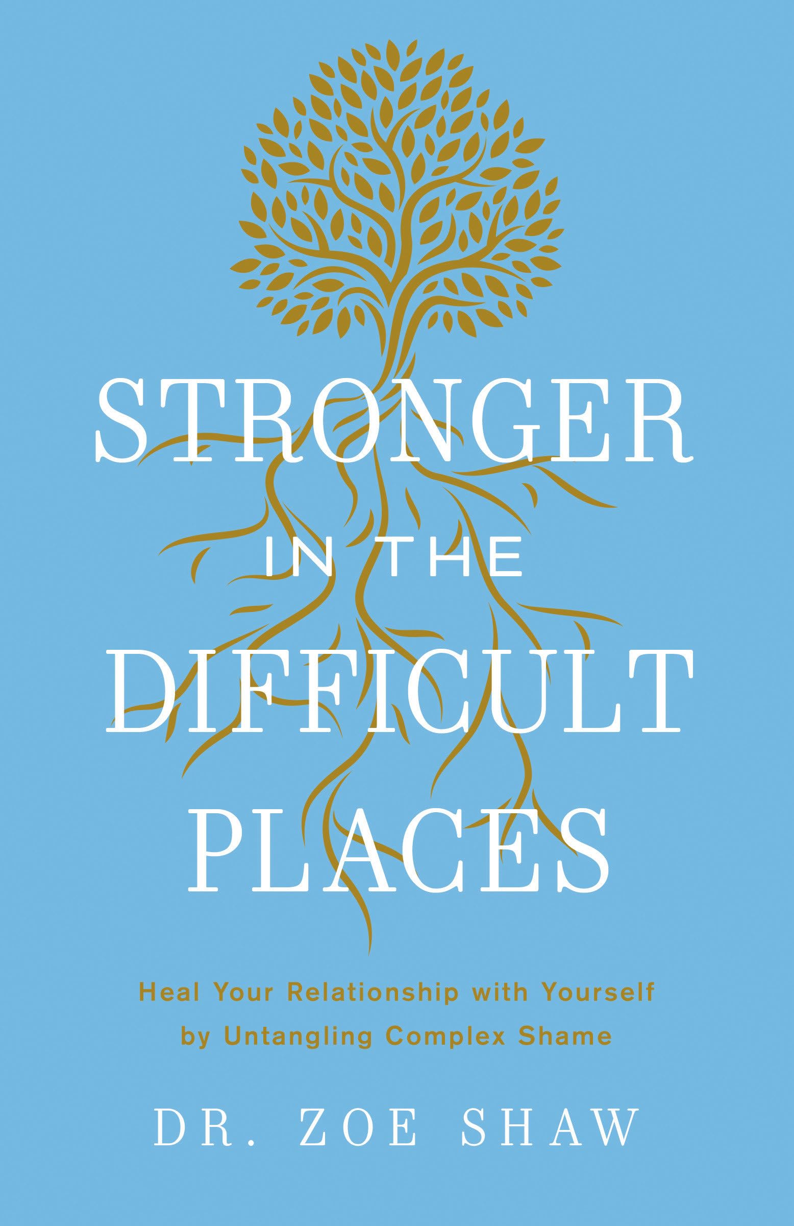Stronger in the Difficult Places: Heal Your Relationship with Yourself by Untangling Complex Shame Lifestyle