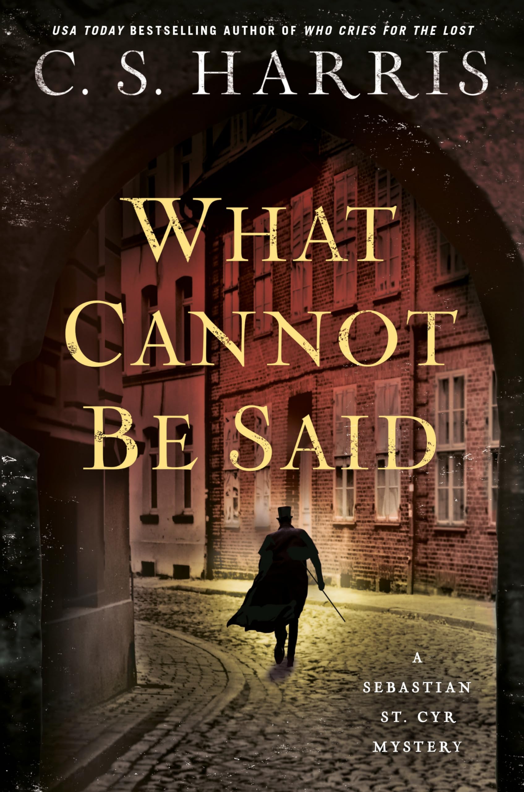 What Cannot Be Said (Sebastian St. Cyr Mystery, Band 19) Contemporary literature