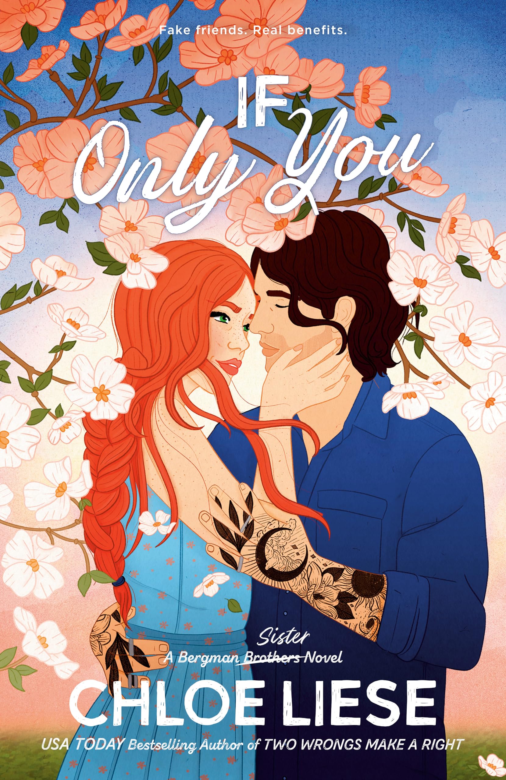 If Only You (The Bergman Brothers, Band 6) Contemporary literature