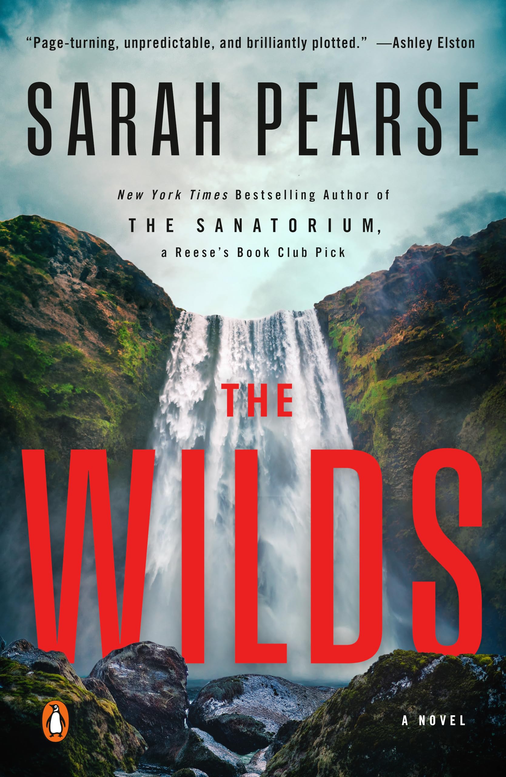 The Wilds: A Novel (Detective Elin Warner) Contemporary literature