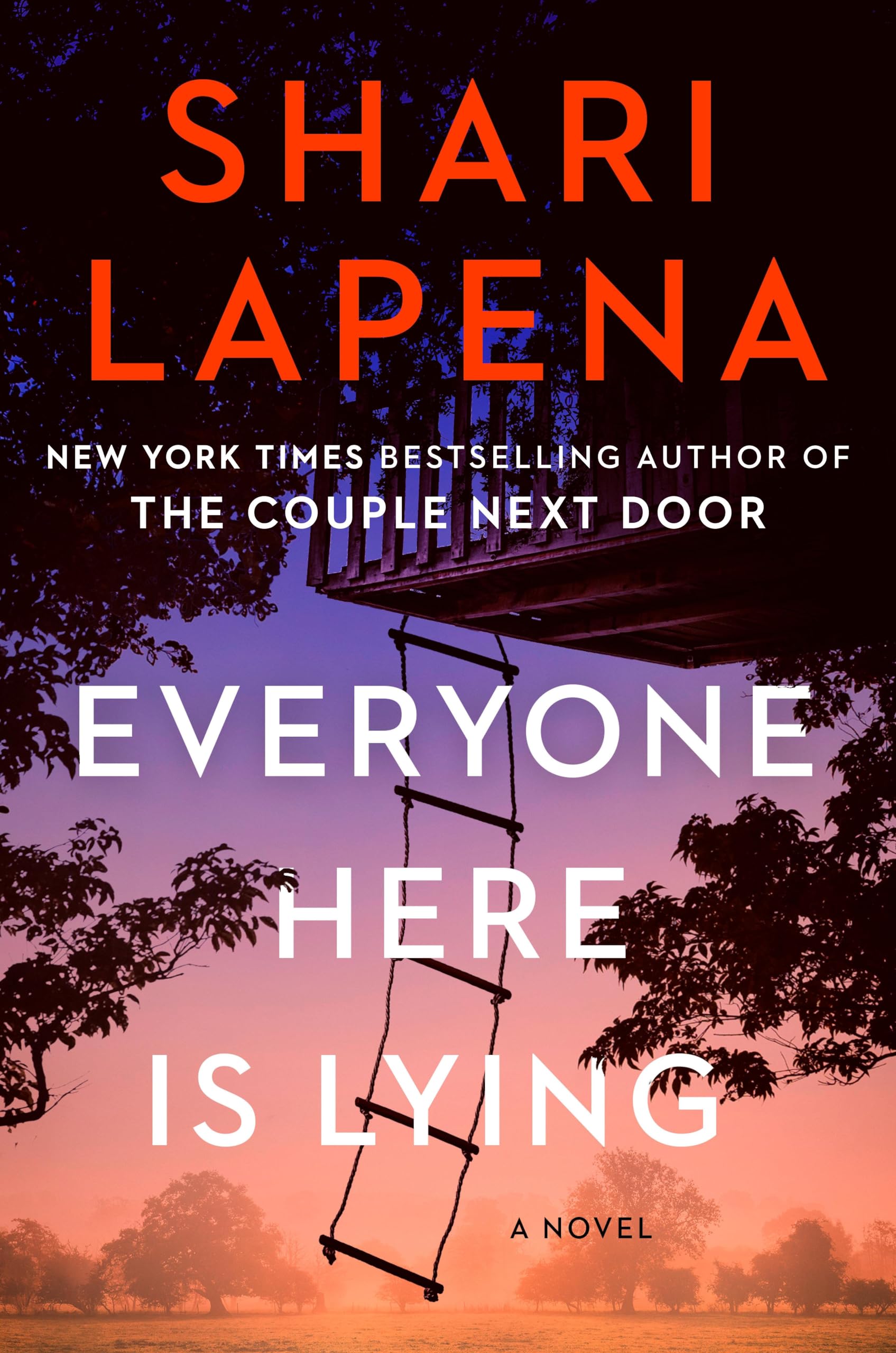 Everyone Here Is Lying Contemporary literature Books