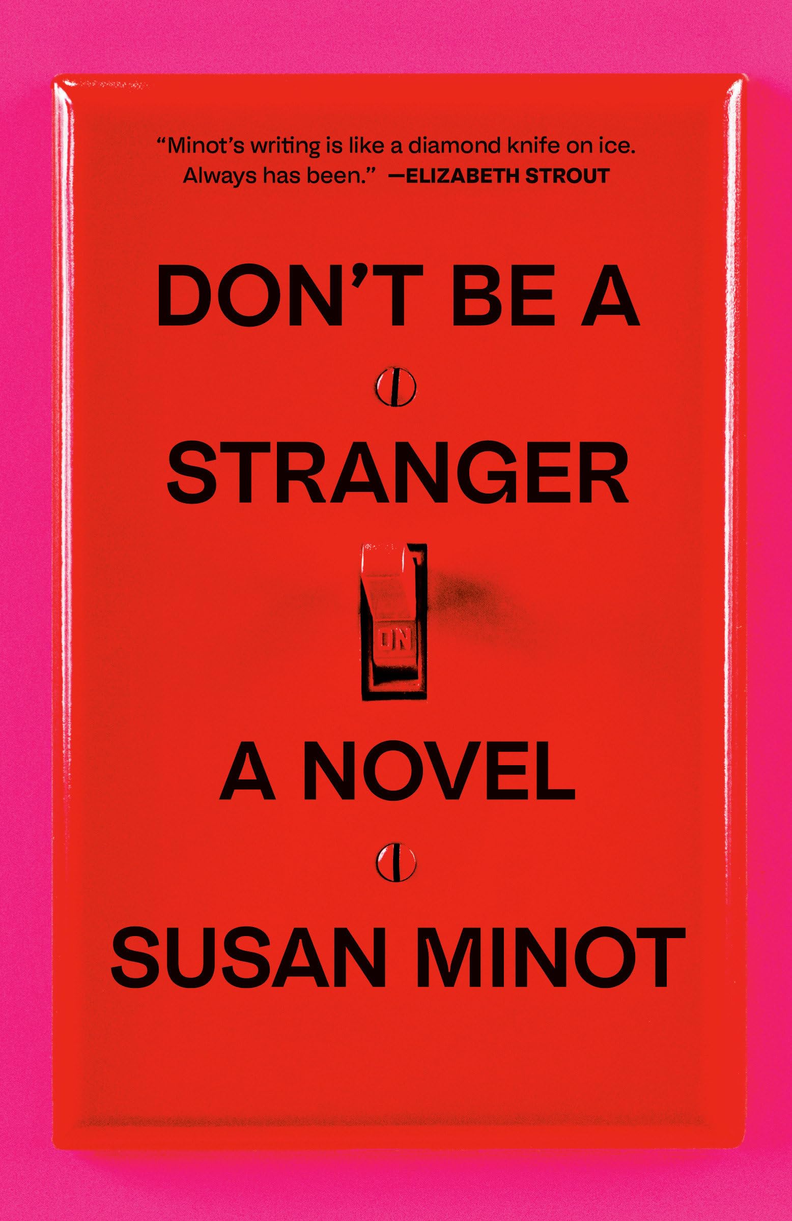 Don't Be a Stranger: A Novel (Vintage Contemporaries) Contemporary literature