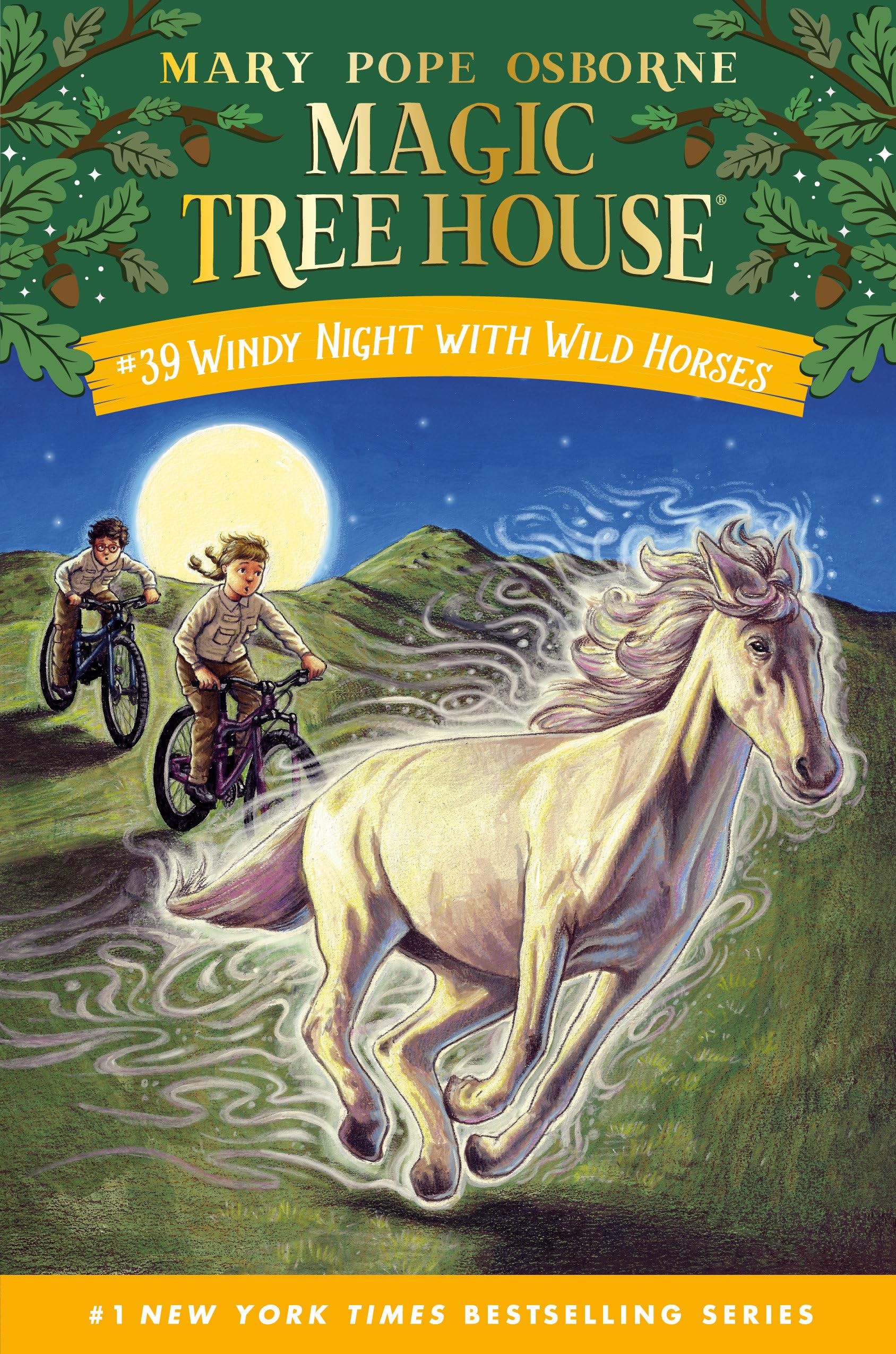 Windy Night with Wild Horses (Magic Tree House, Band 39) Novels & Short Stories