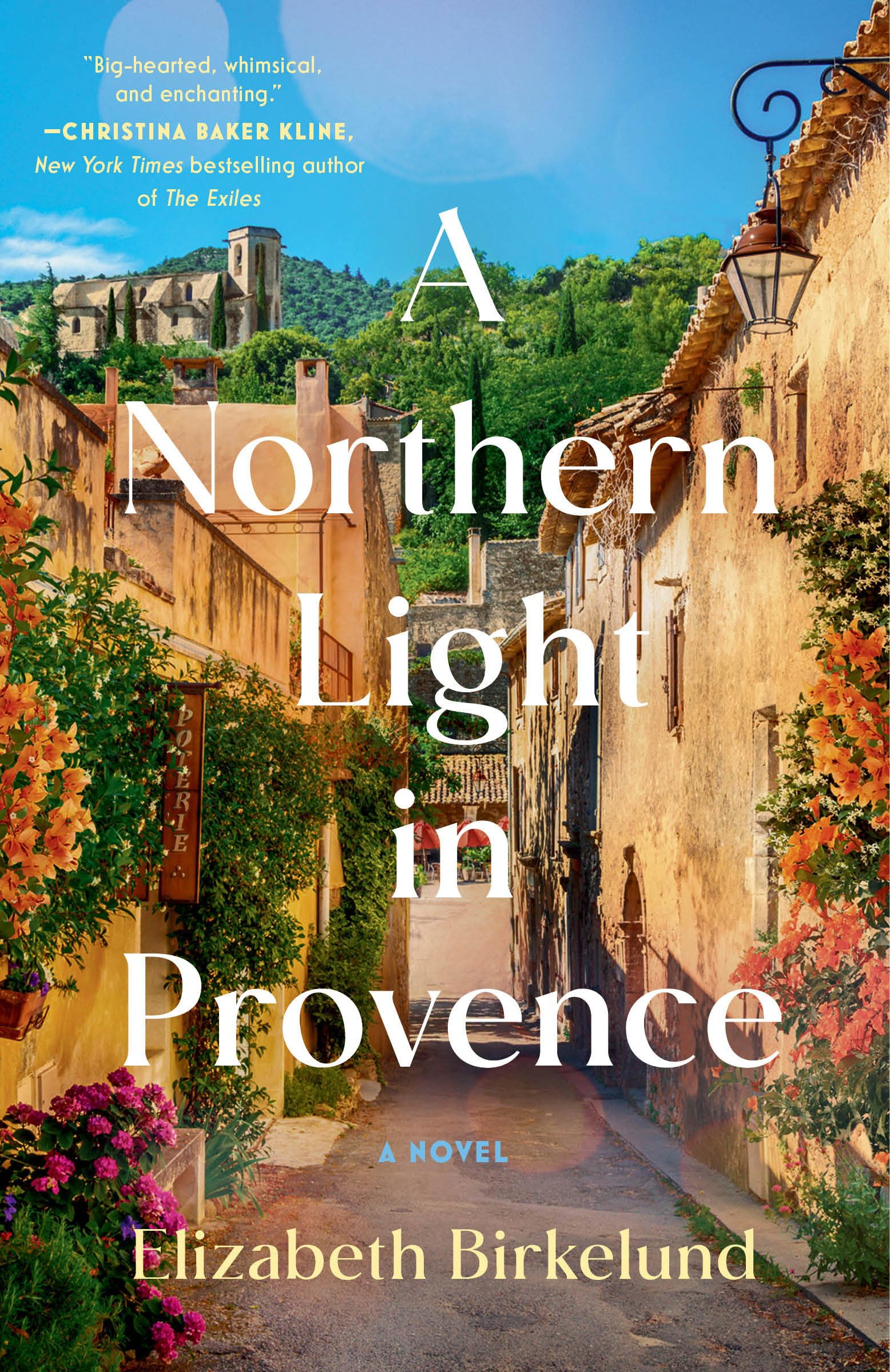 A Northern Light in Provence: A Novel book