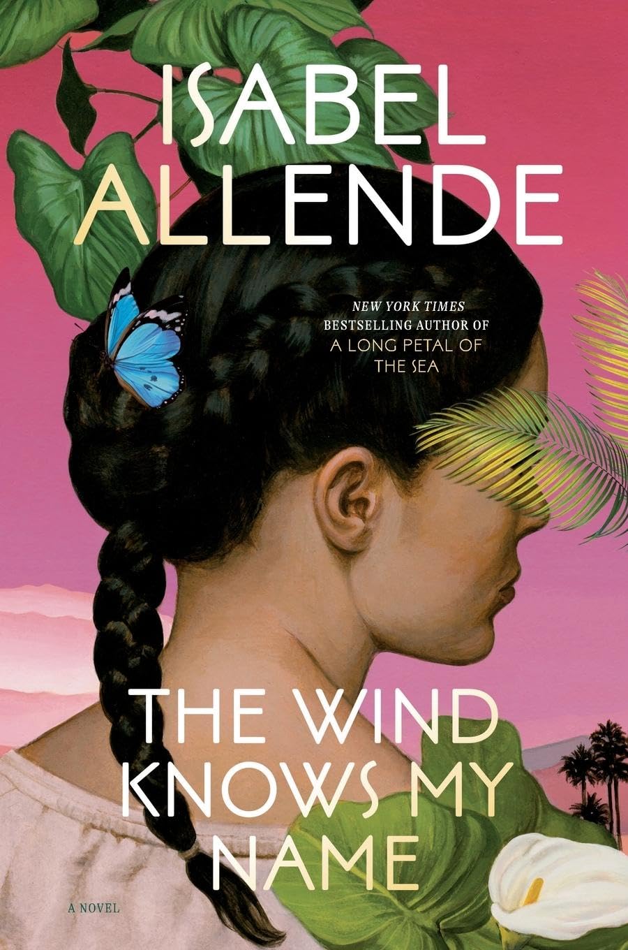 The Wind Knows My Name Historical Fiction