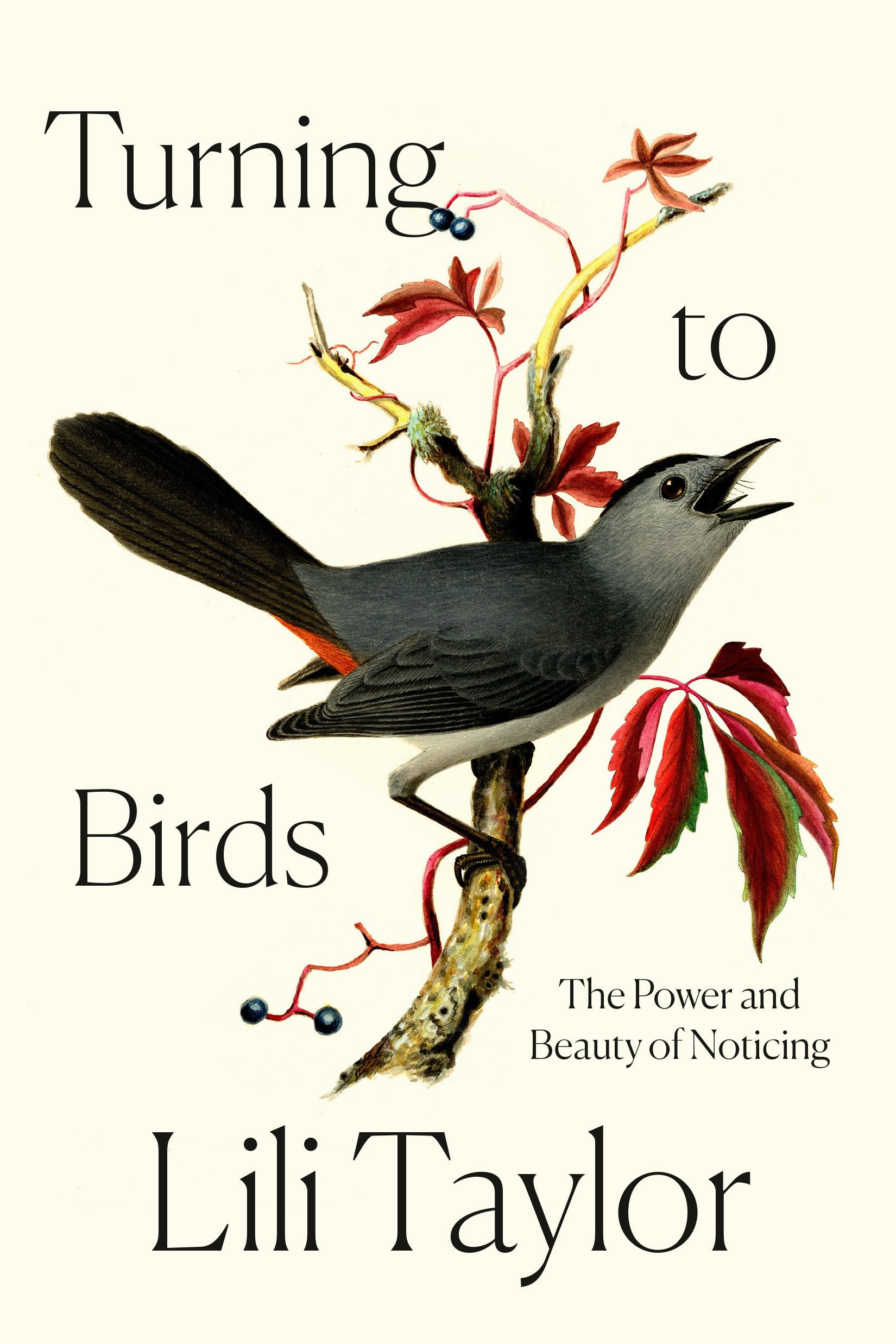 Turning to Birds: The Power and Beauty of Noticing Art & Literature