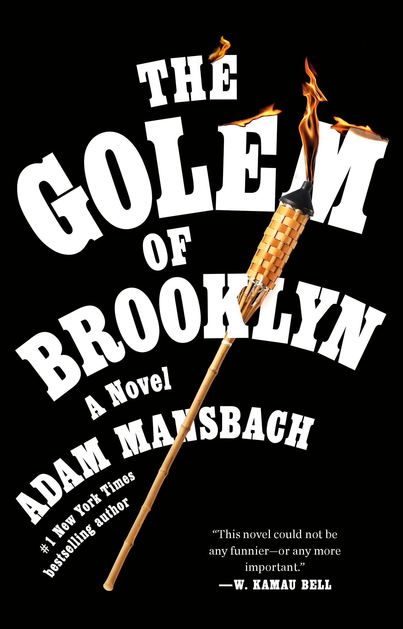 The Golem of Brooklyn: A Novel Contemporary literature