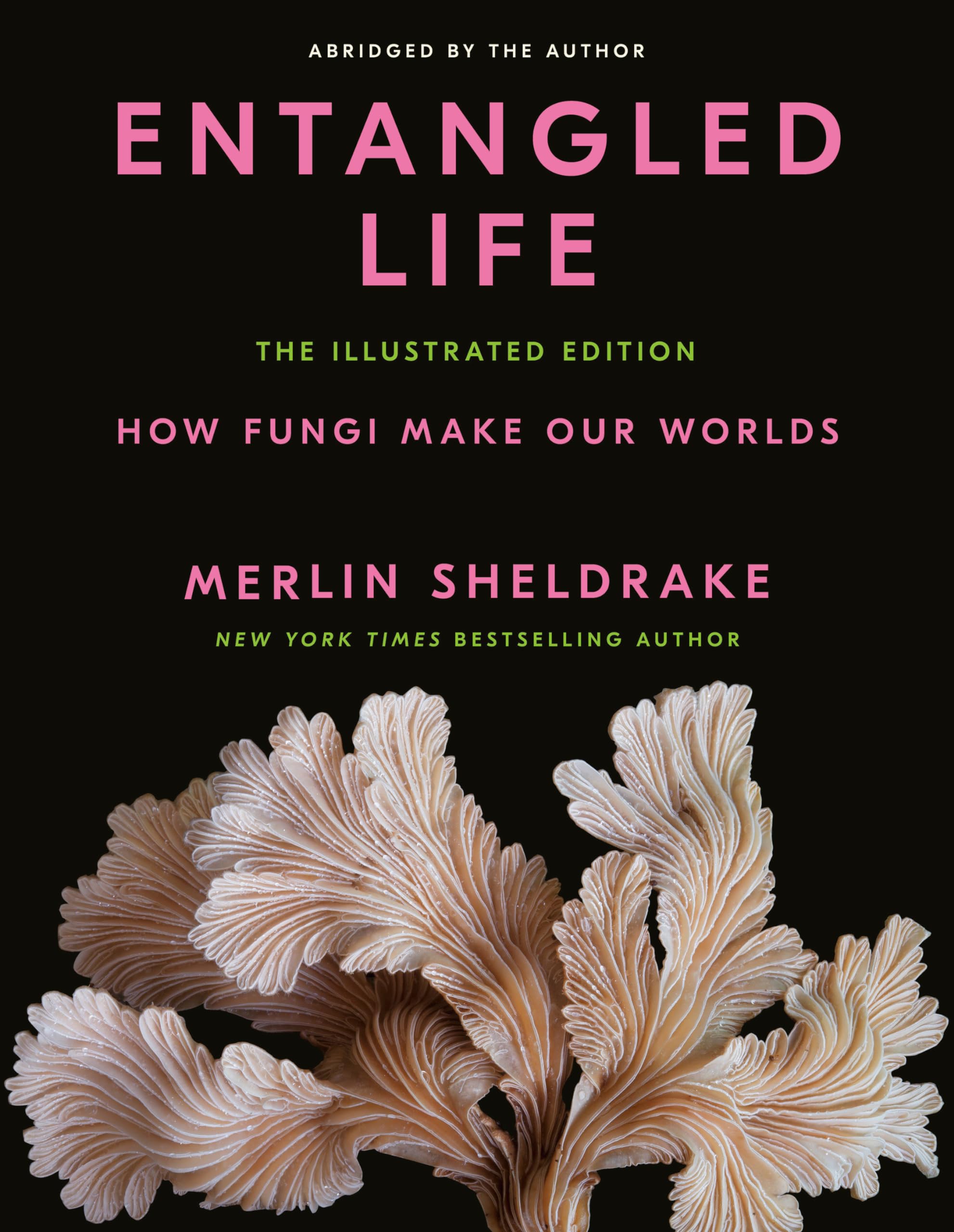 Entangled Life: How Fungi Make Our Worlds Mathematics
