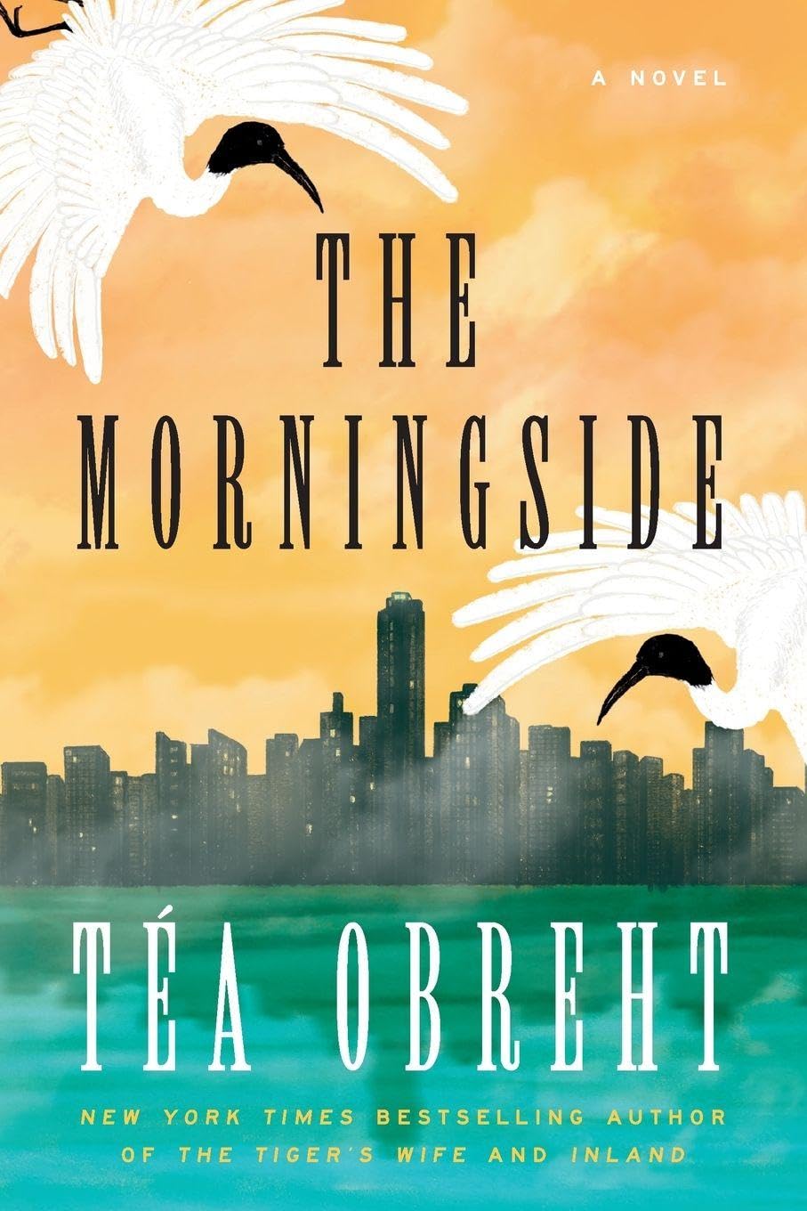 The Morningside Contemporary literature Books