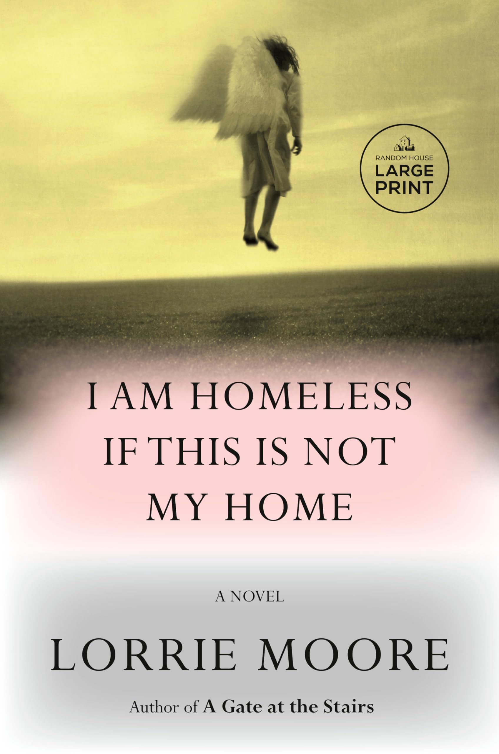 I Am Homeless If This Is Not My Home: A novel (Random House Large Print) Humour & Satire