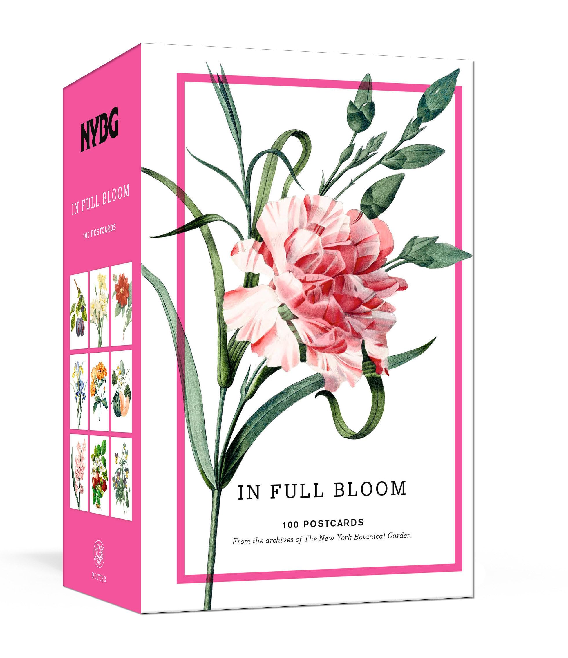 New York Botanical Garden: In Full Bloom Postcards: 100 Postcards from the Archives of the New York Botanical Garden Hobbies & Crafts