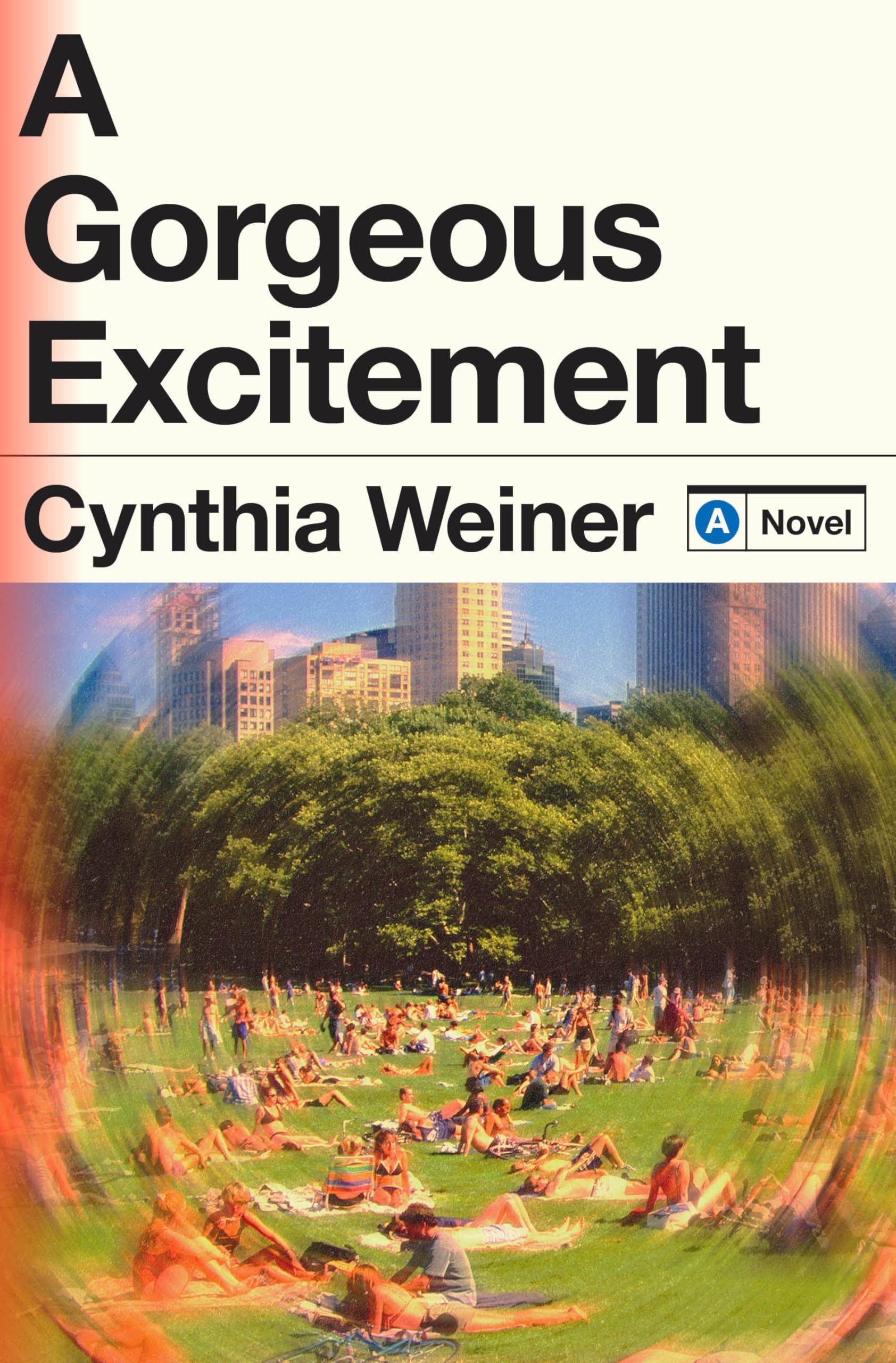 A Gorgeous Excitement: A Novel Contemporary literature