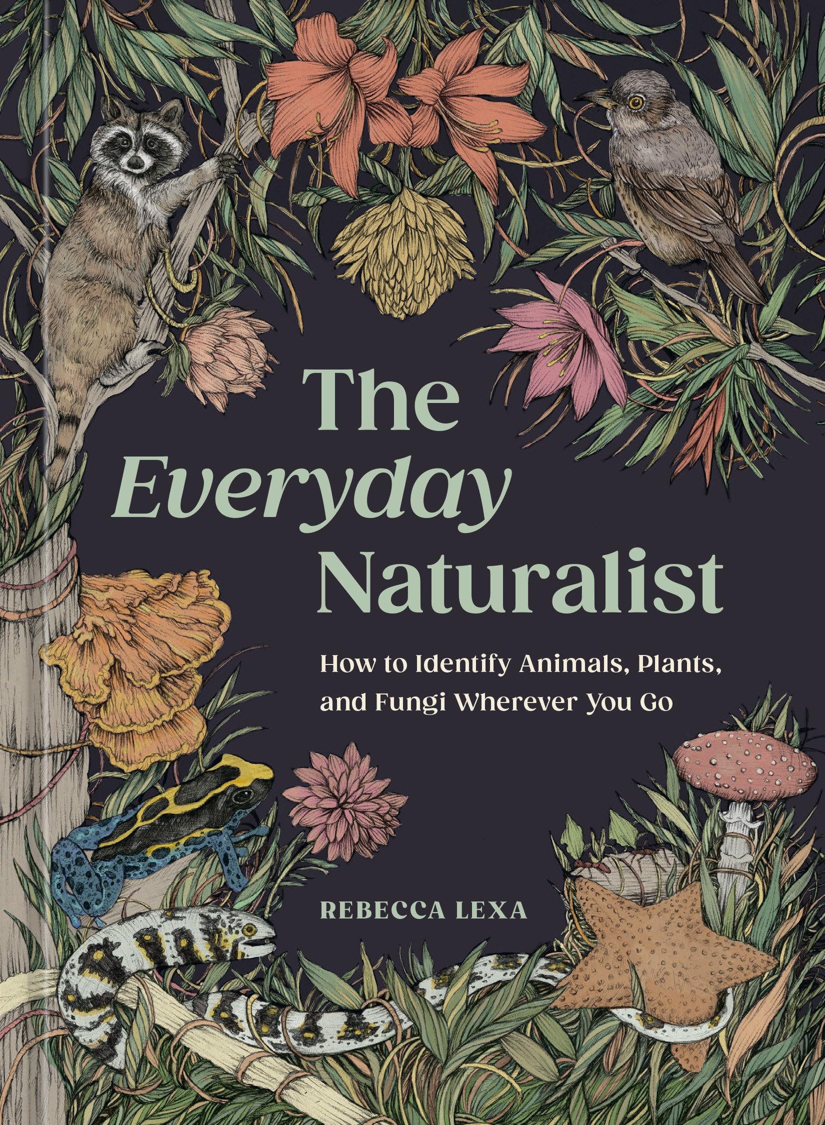 The Everyday Naturalist: How to Identify Animals, Plants, and Fungi Wherever You Go Mathematics