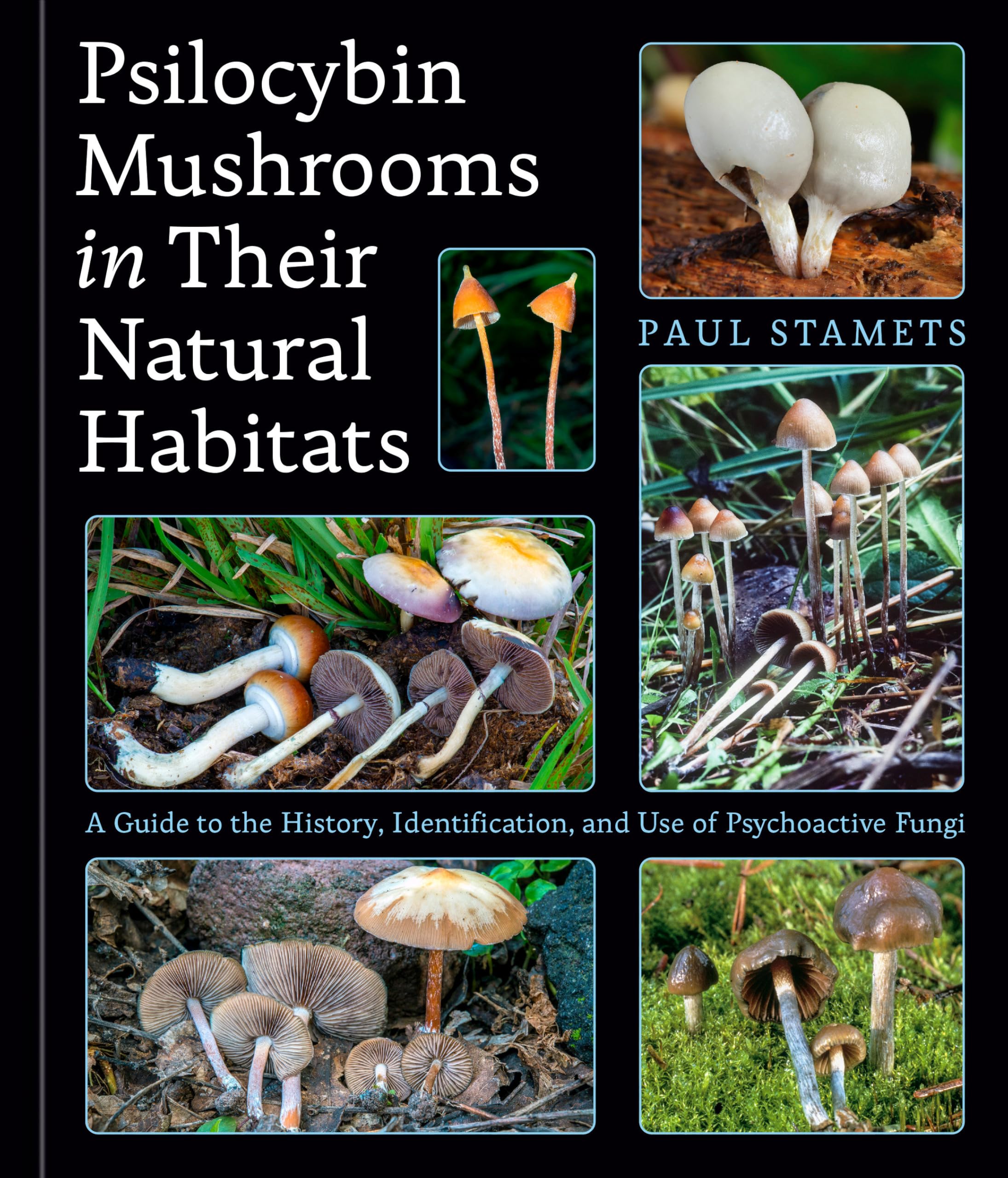 Psilocybin Mushrooms in Their Natural Habitats Mathematics