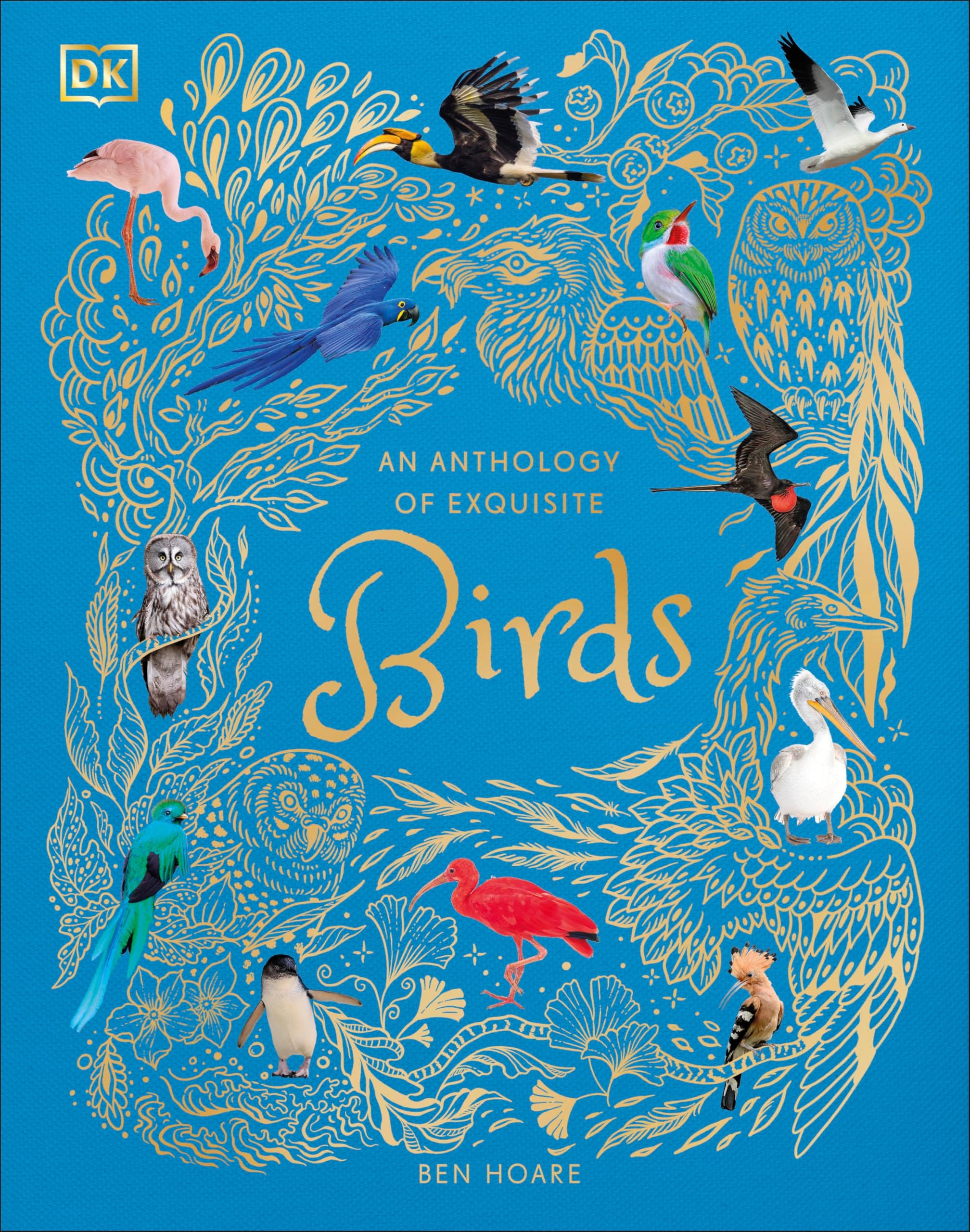 An Anthology of Exquisite Birds (DK Children's Anthologies) Non-fiction