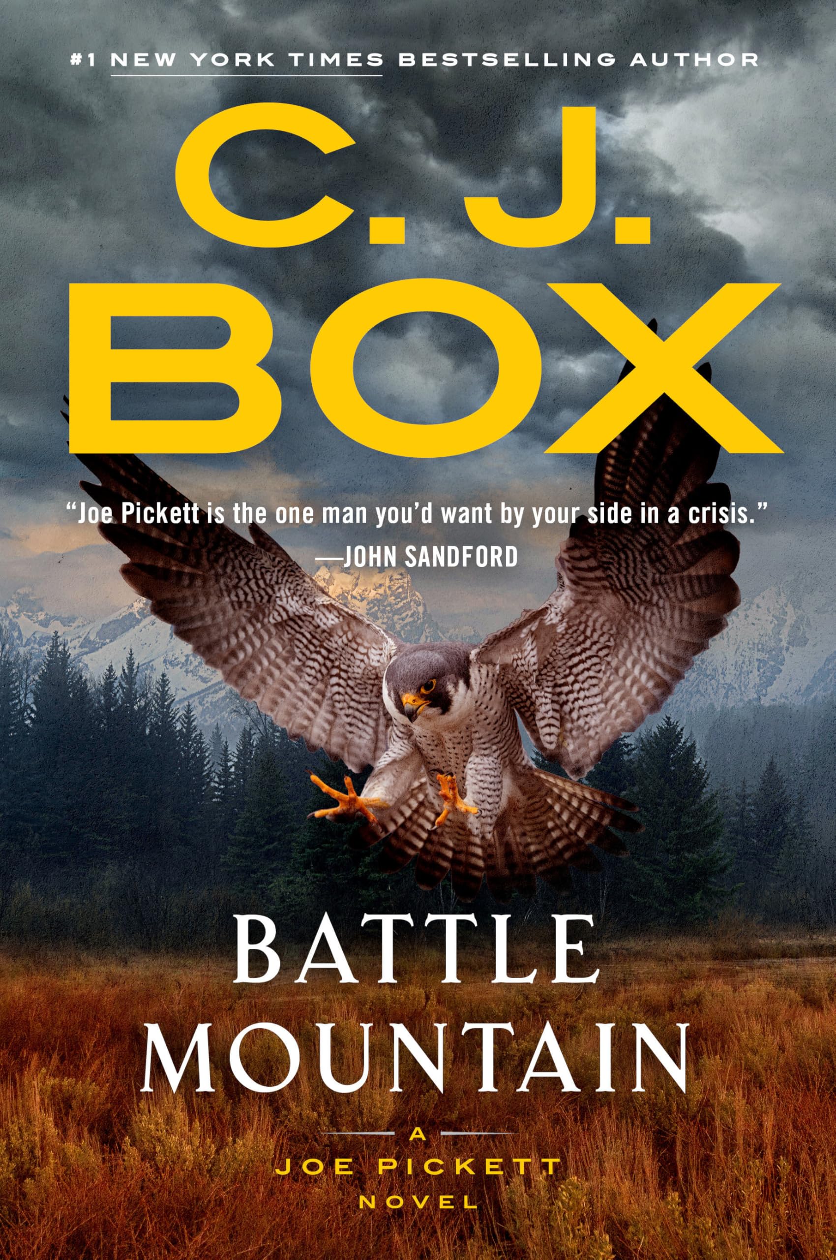 Battle Mountain (A Joe Pickett Novel, Band 25) Contemporary literature