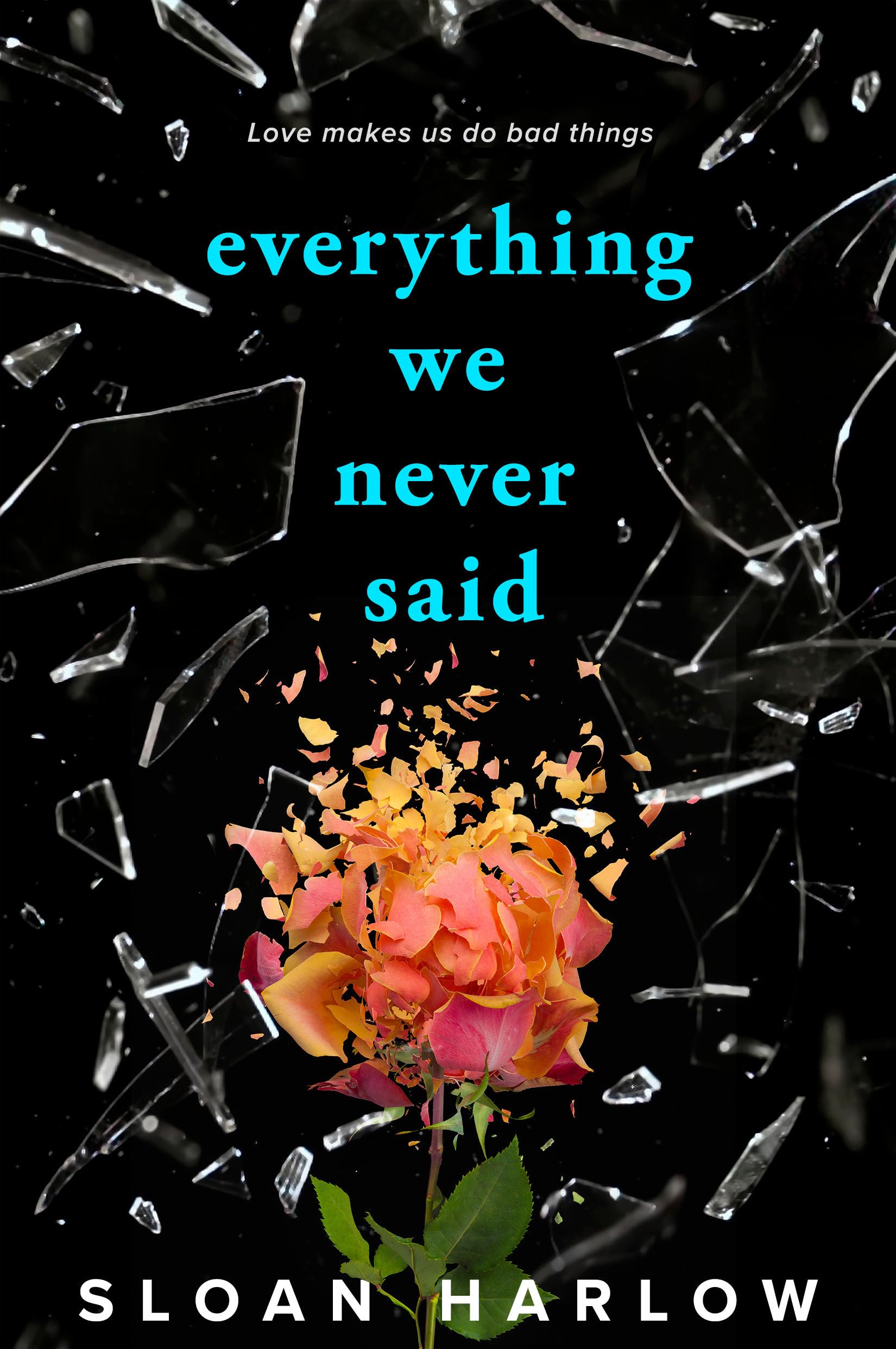 Everything We Never Said Fiction