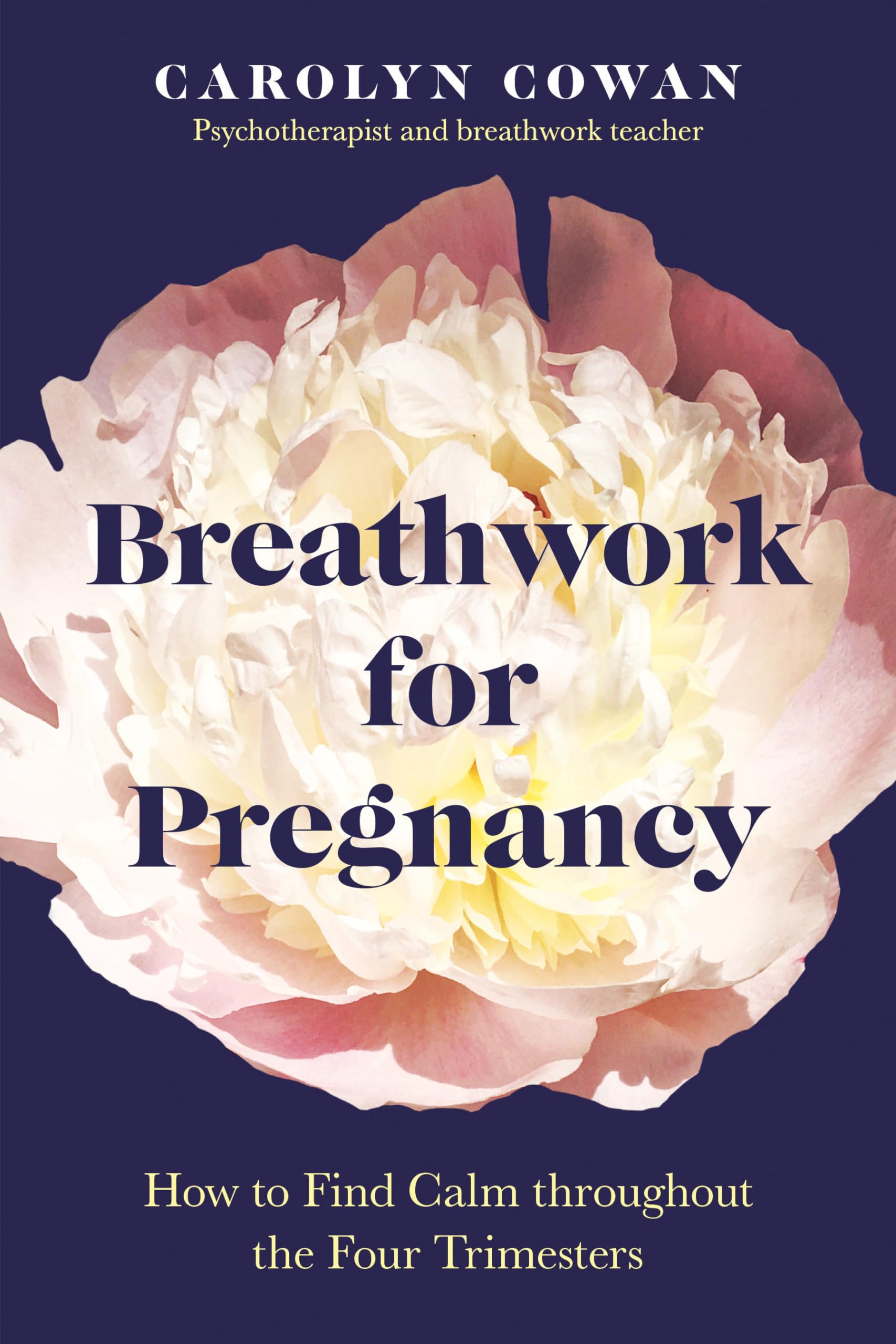 Breathwork for Pregnancy: How to Find Calm throughout the Four Trimesters book
