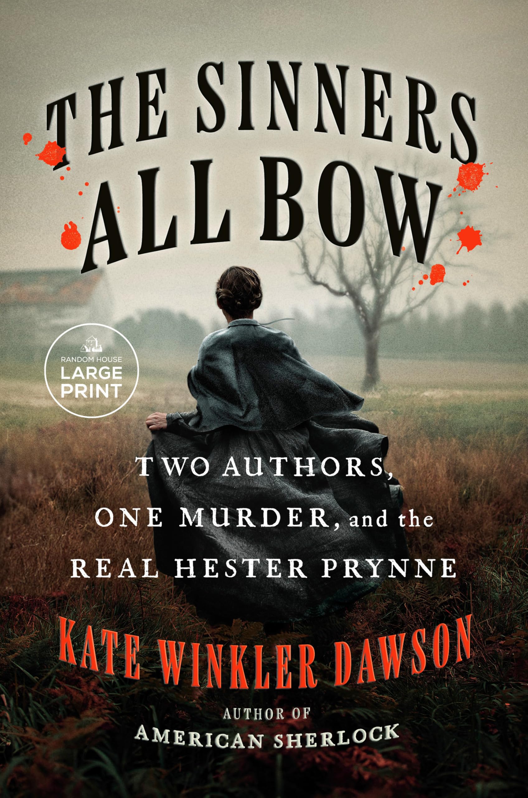 The Sinners All Bow: Two Authors, One Murder, and the Real Hester Prynne Books