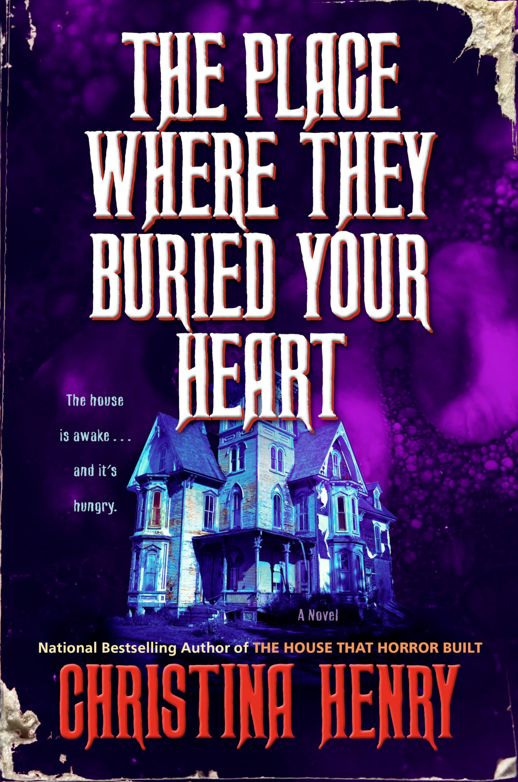 The Place Where They Buried Your Heart Dark Fantasy