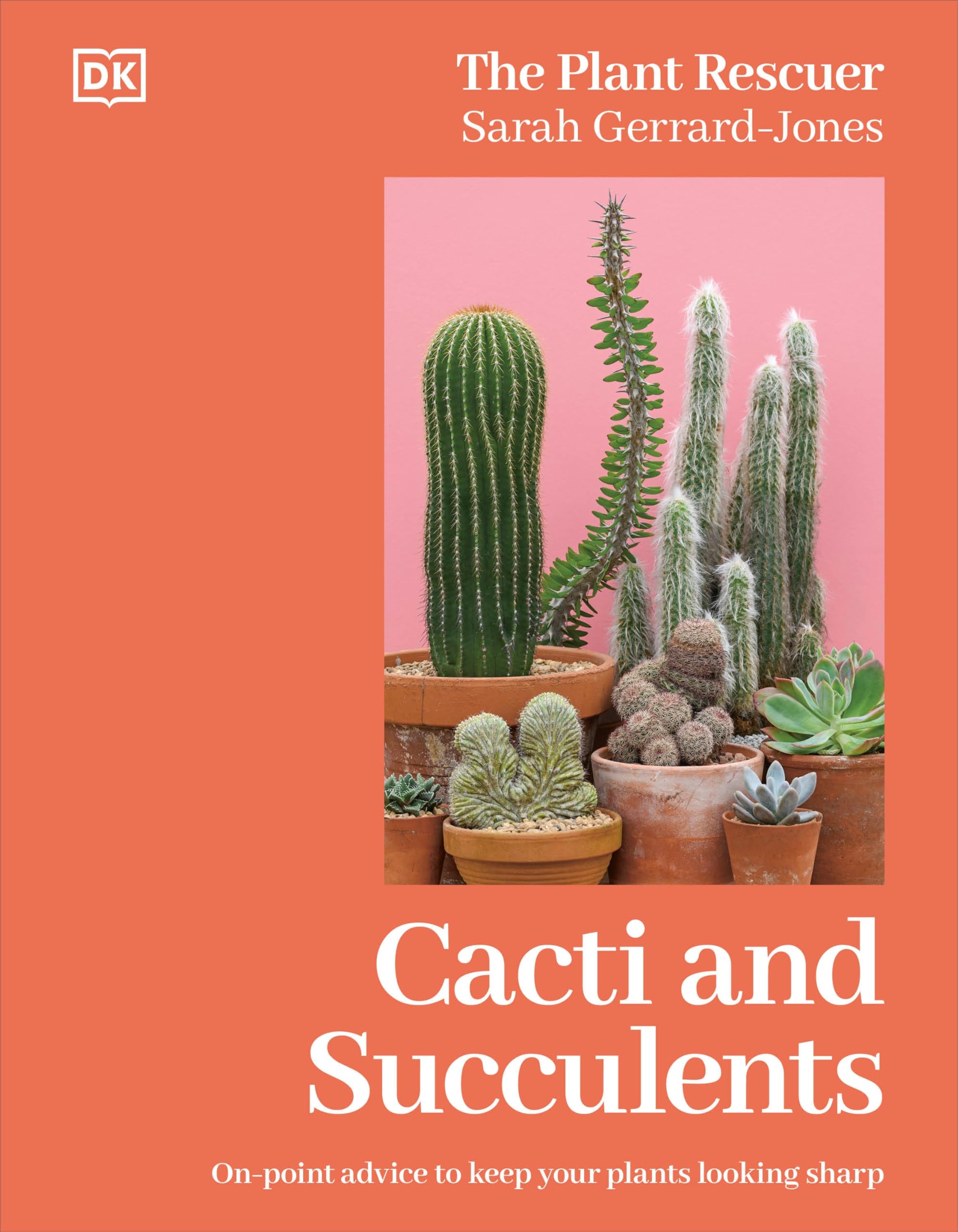 Cacti and Succulents: On-Point Advice to Keep Your Plants Looking Sharp Mathematics