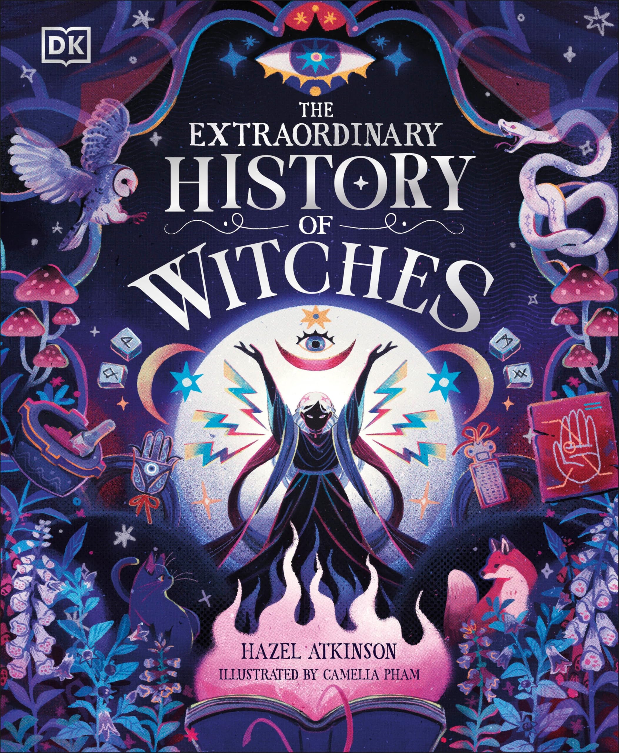 The Extraordinary History of Witches (The Extraordinary Histories) Non-fiction