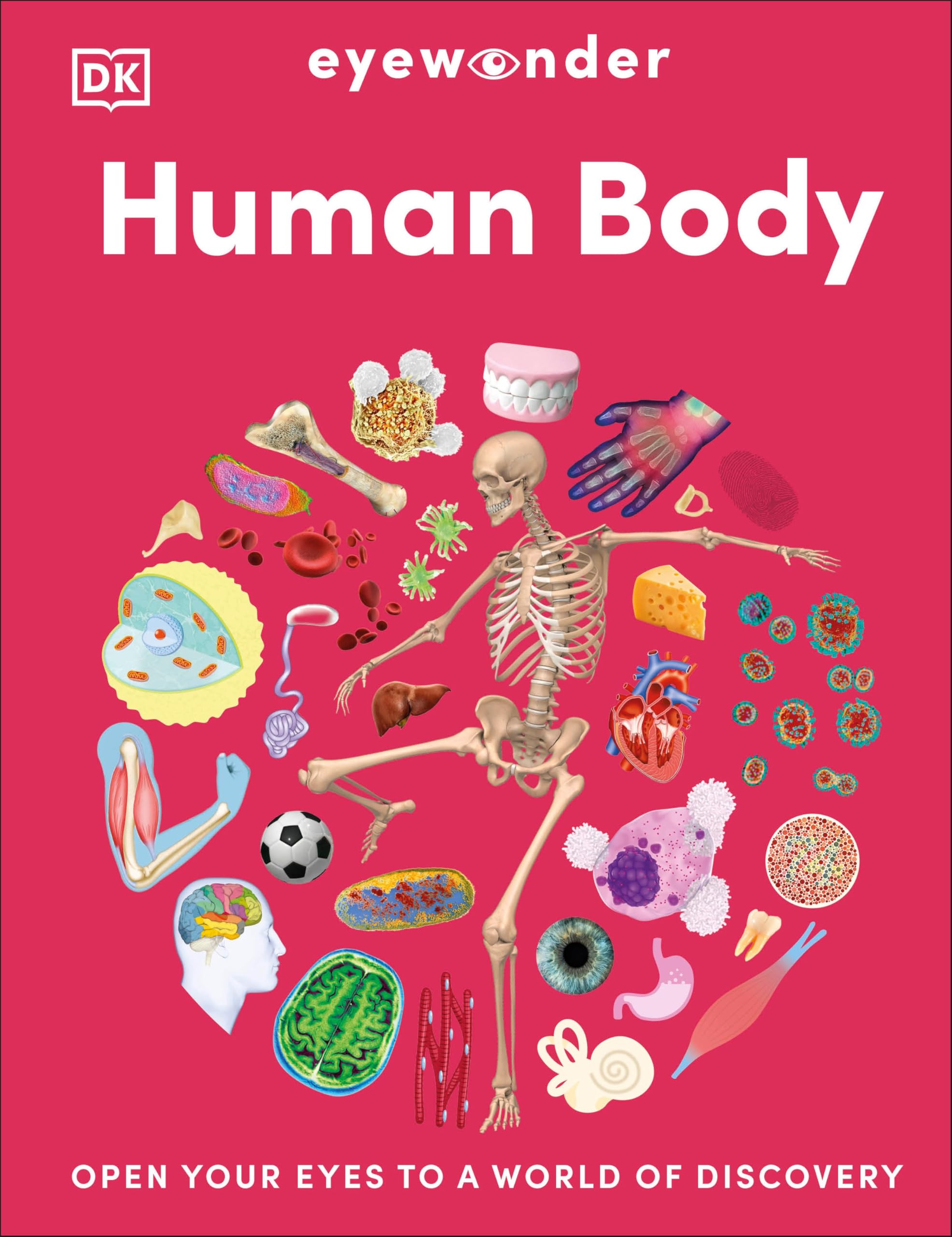 Human Body: Open Your Eyes to a World of Discovery (DK Eyewonder) Non-fiction