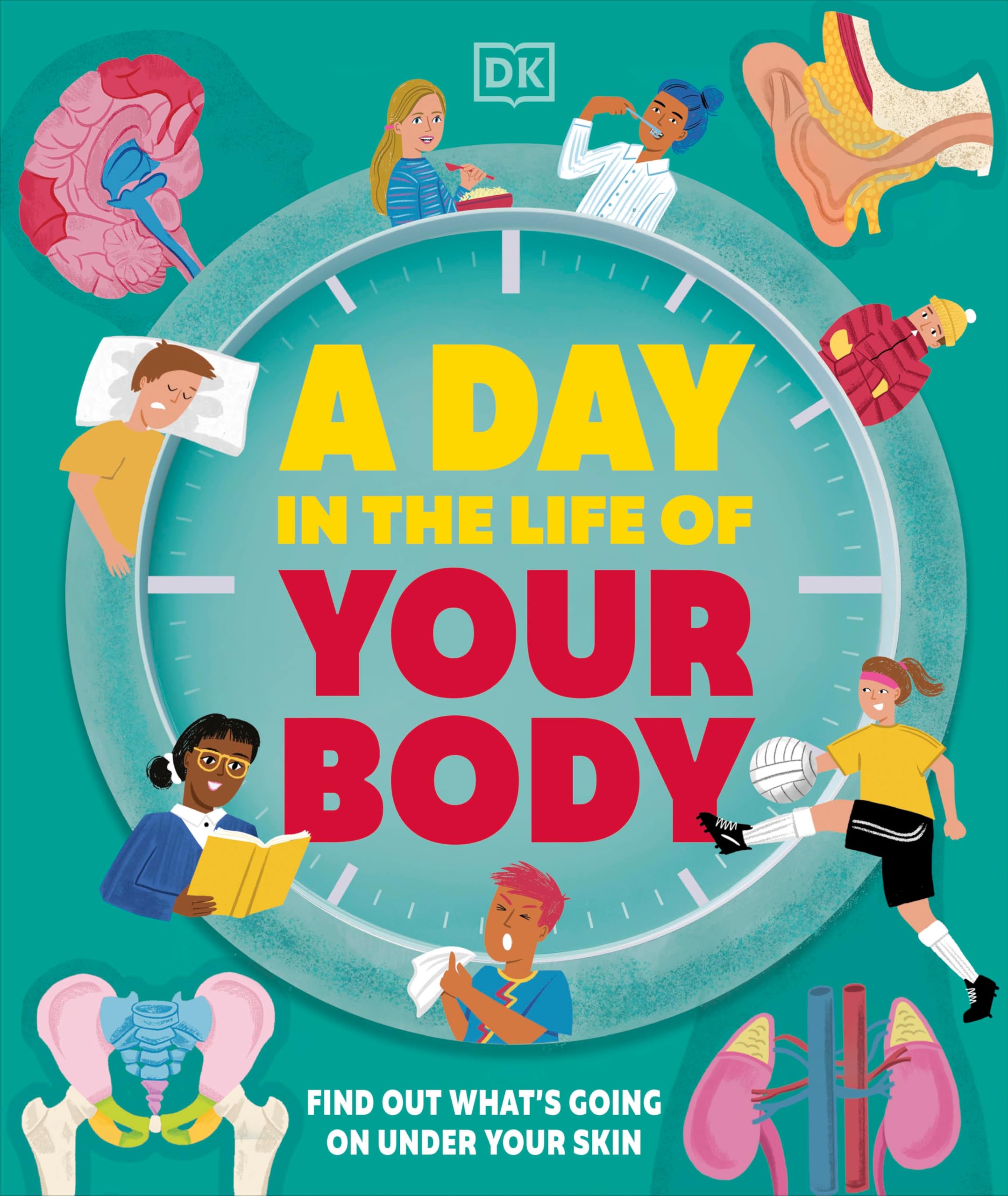 A Day in the Life of Your Body Non-fiction