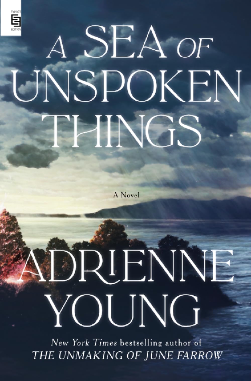 A Sea of Unspoken Things Contemporary literature