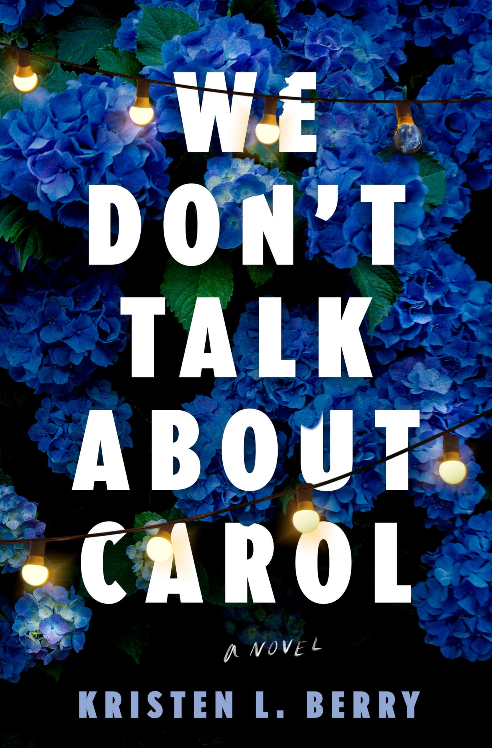 We Don't Talk about Carol Contemporary literature