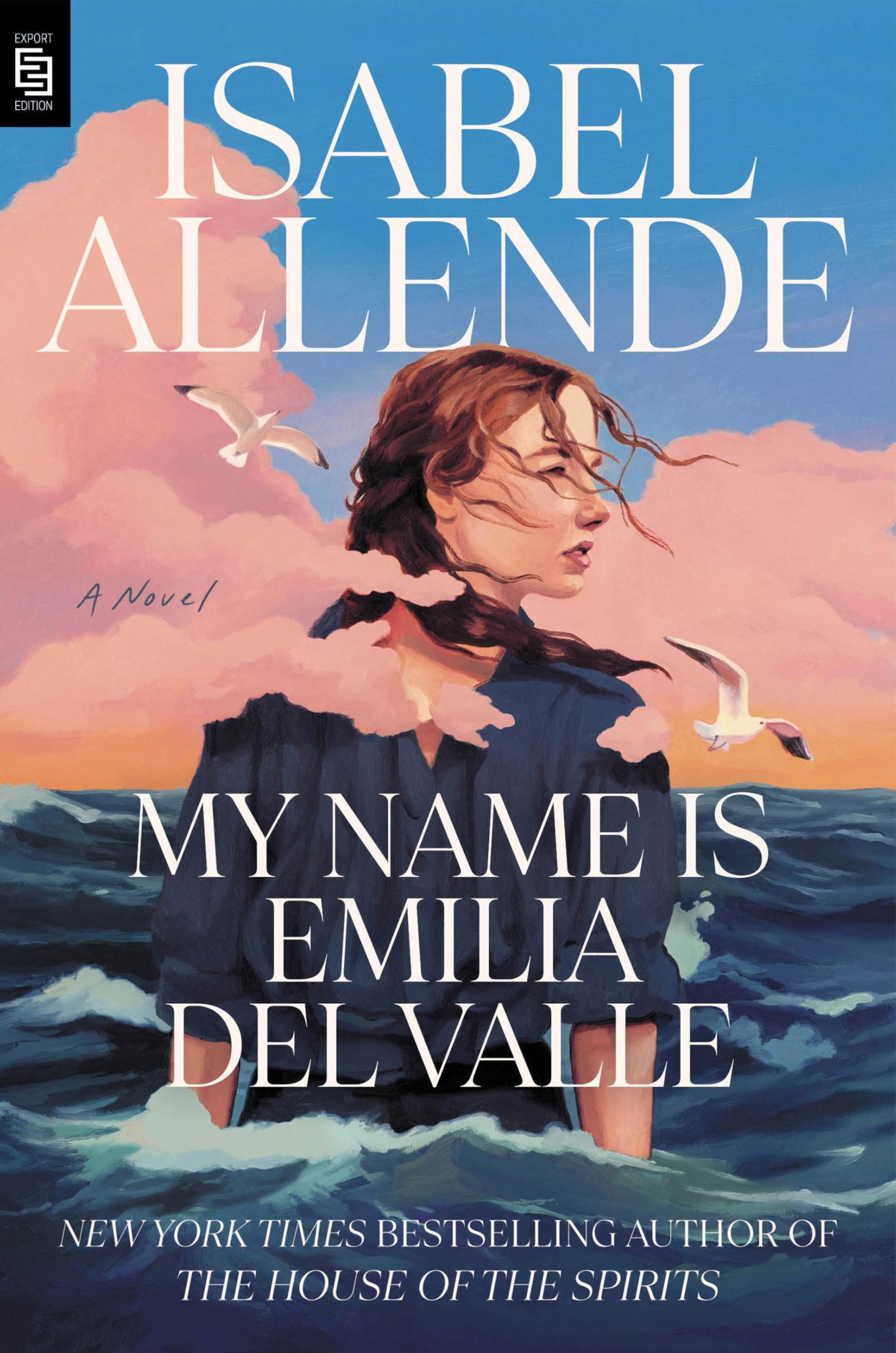 My Name Is Emilia del Valle Historical Fiction