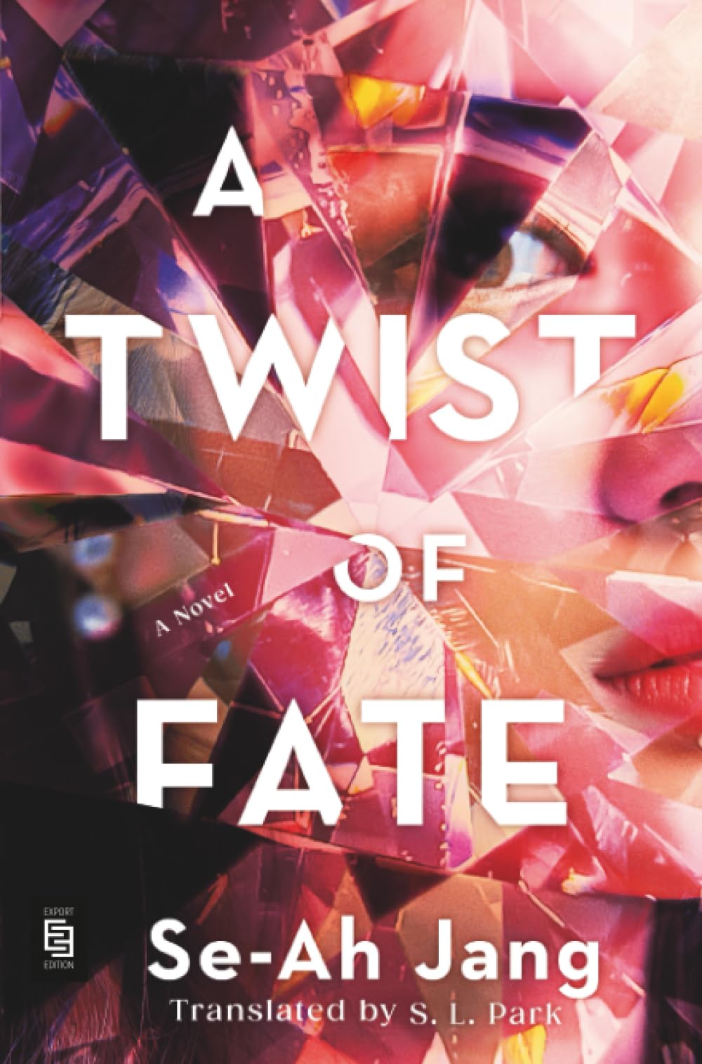 A Twist of Fate Contemporary literature