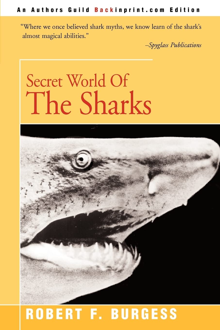 Secret World of the Sharks Leisure, Home & Garden