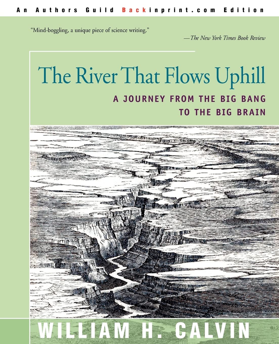 The River That Flows Uphill: A Journey from the Big Bang to the Big Brain Natural Sciences