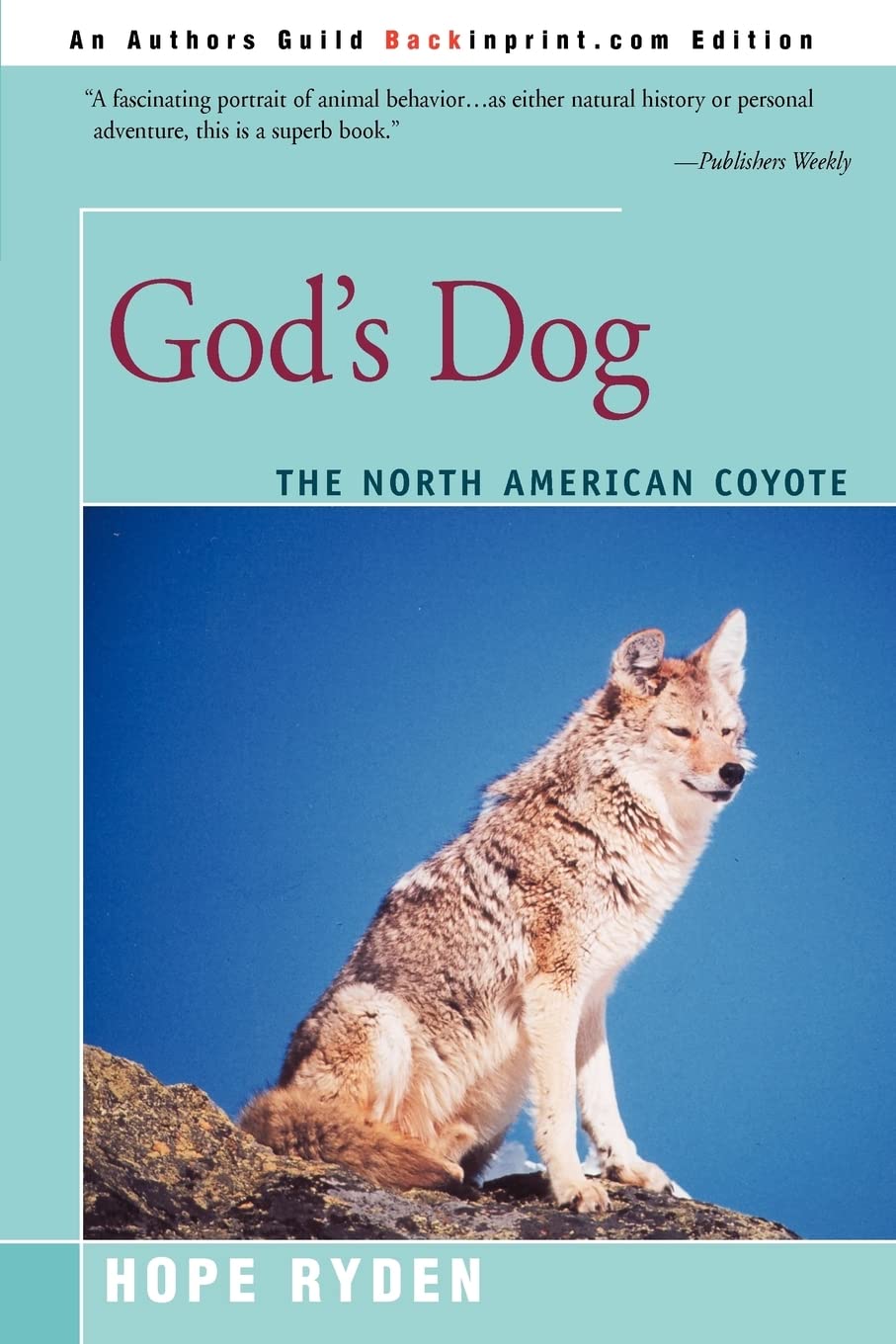 God's Dog Photography Books