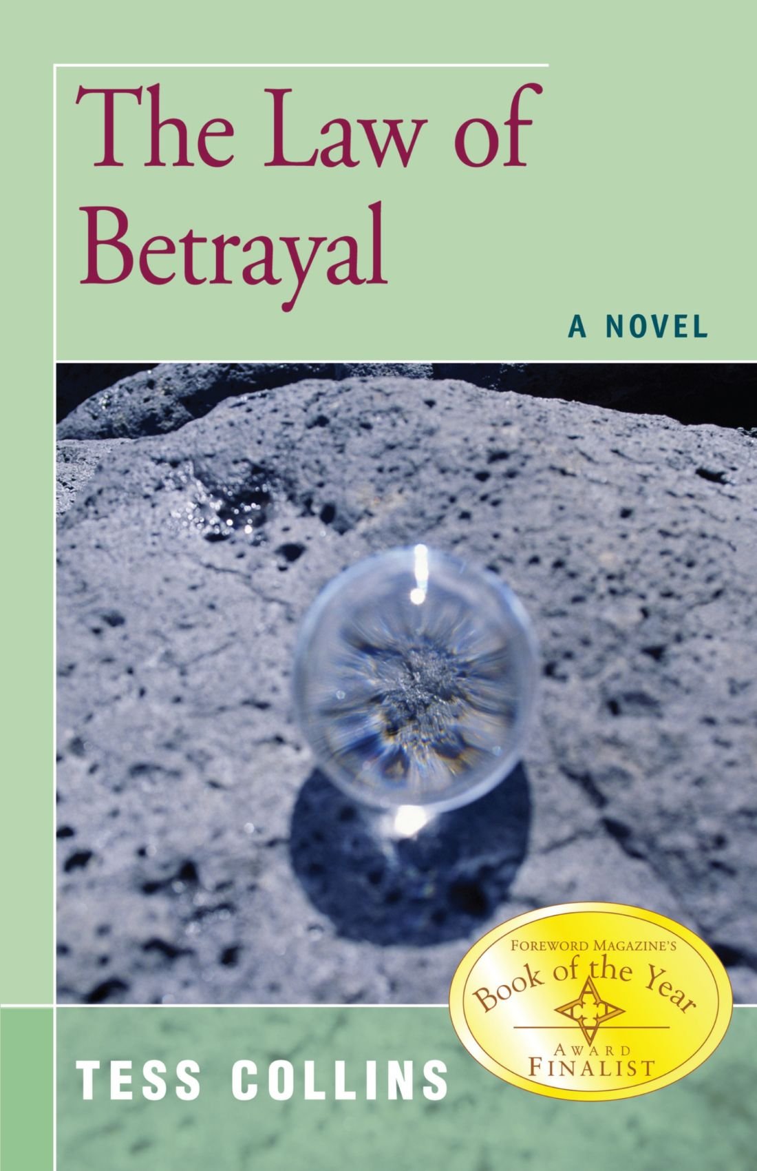 The Law of Betrayal Detective & CSI