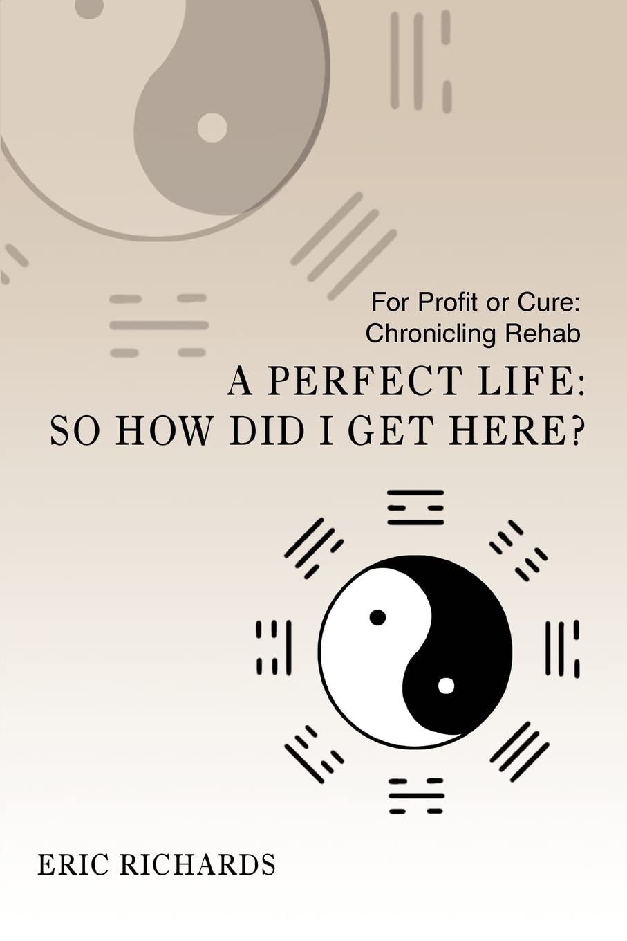 A Perfect Life: So How Did I Get Here?: For Profit or Cure: Chronicling Rehab Memories