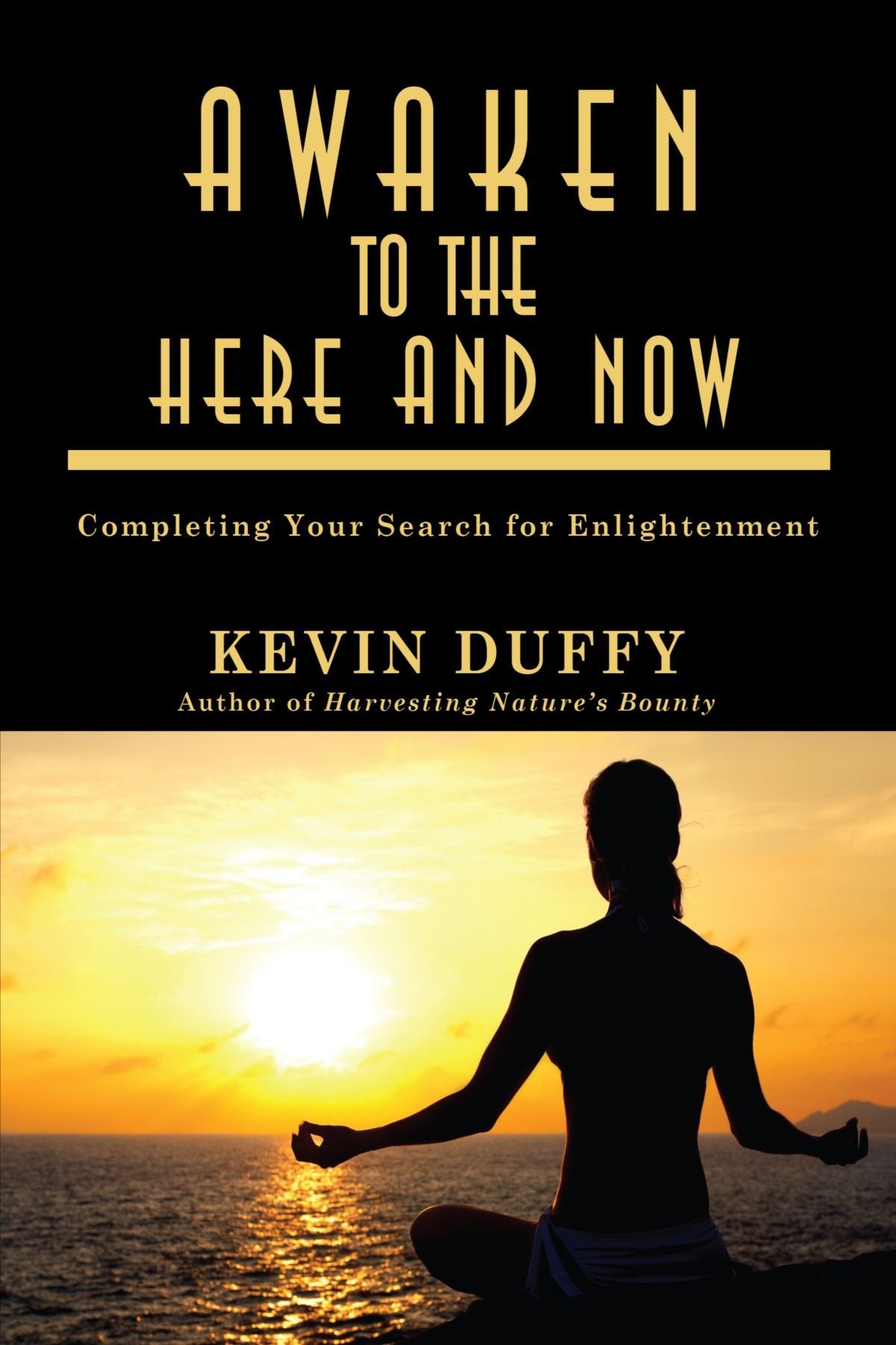 Awaken to the Here and Now: Completing Your Search for Enlightenment Philosophy