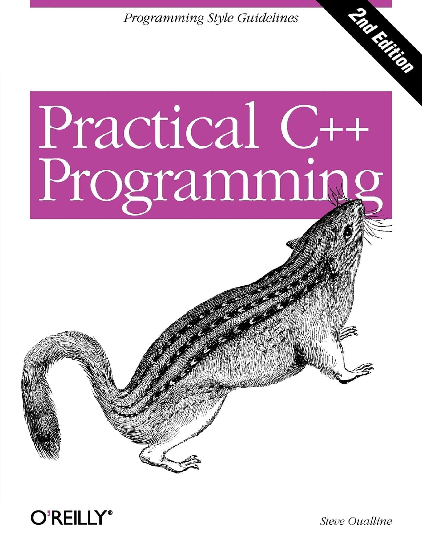 Practical C++ Programming: Programming Style Guidelines (Practical Ser.) Computer Science