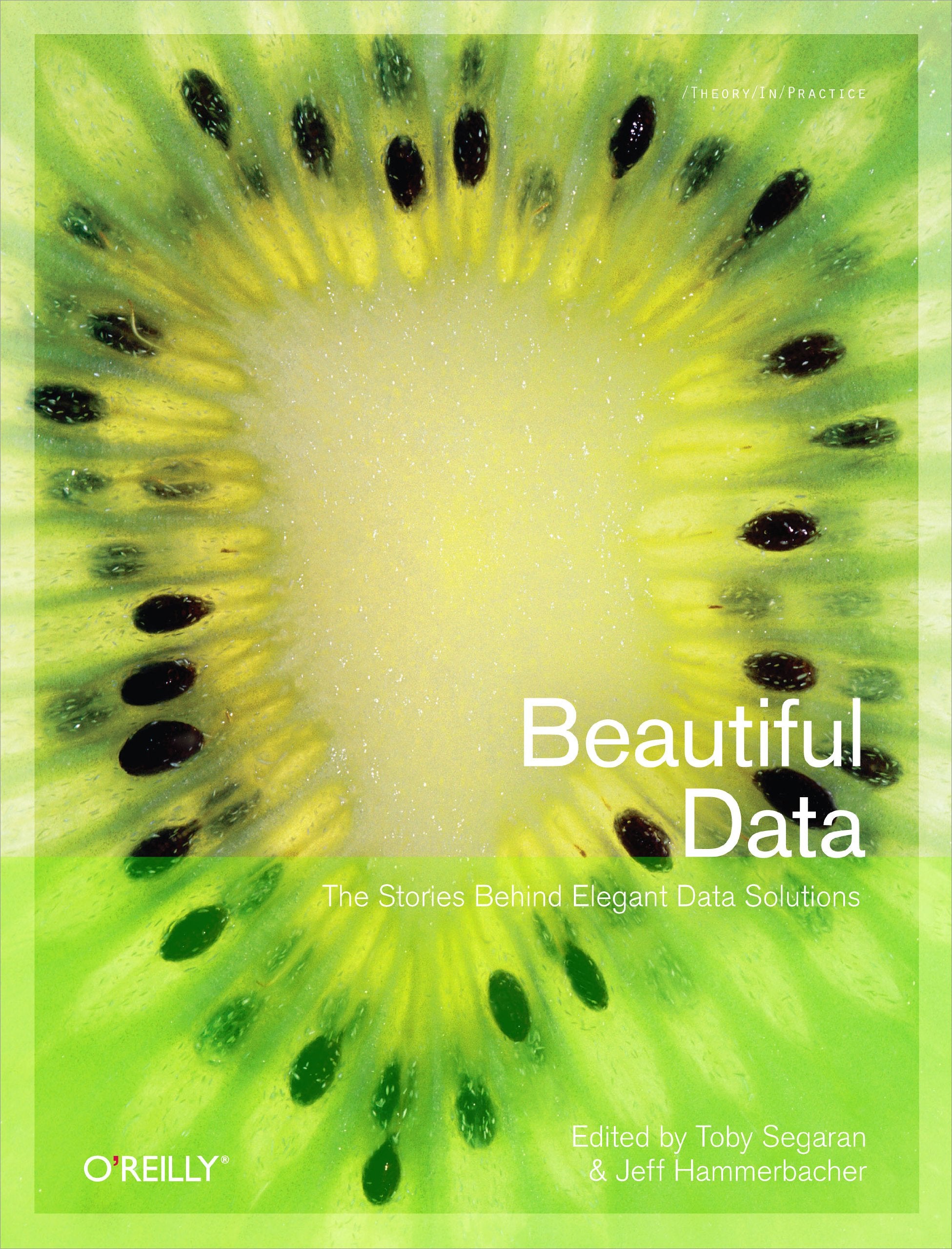 Beautiful Data Computer Science