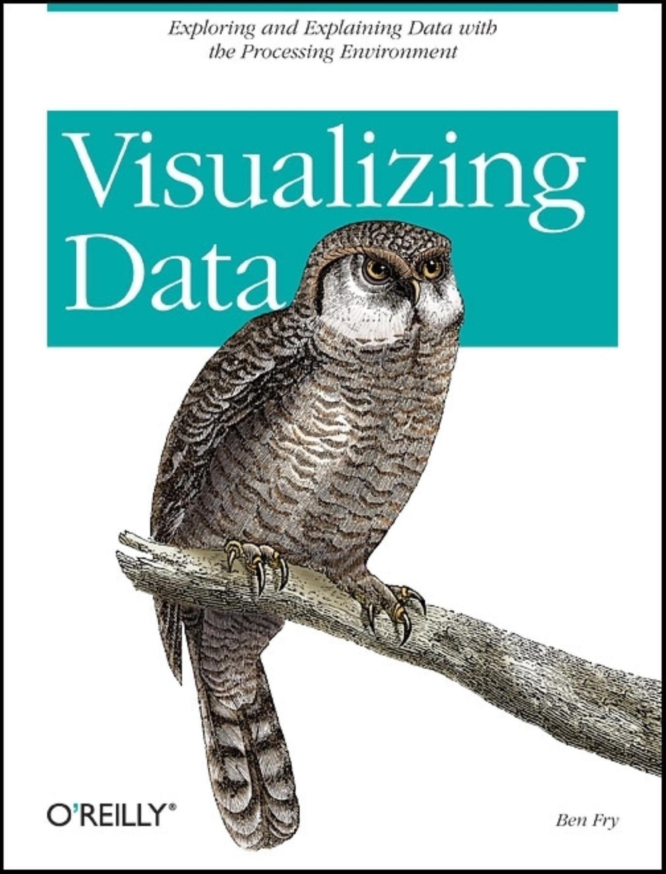 Visualizing Data Computer Science Books