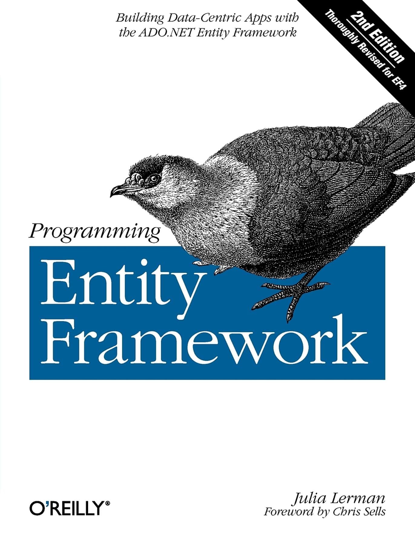 Programming Entity Framework Computer Science